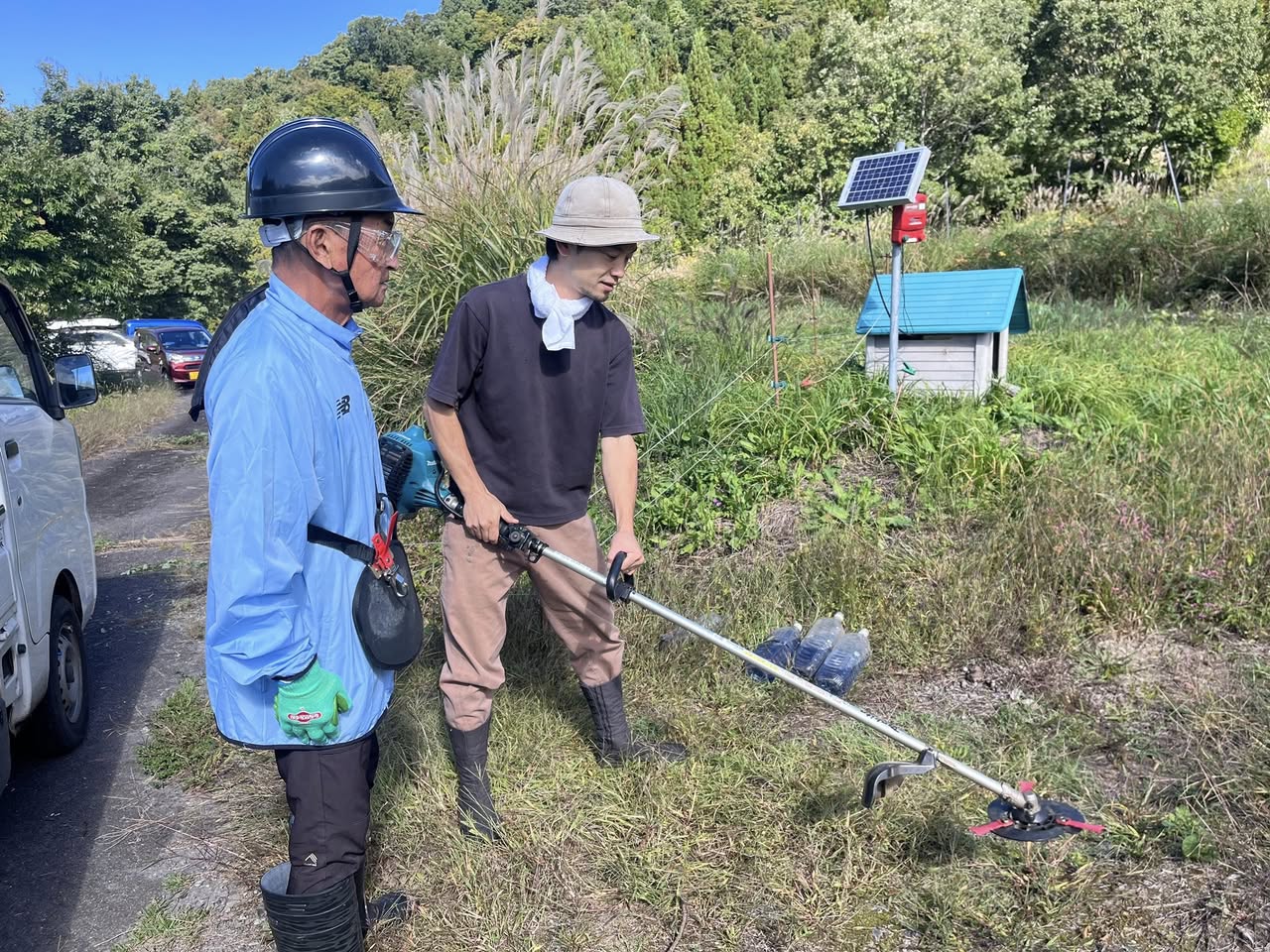 報告写真