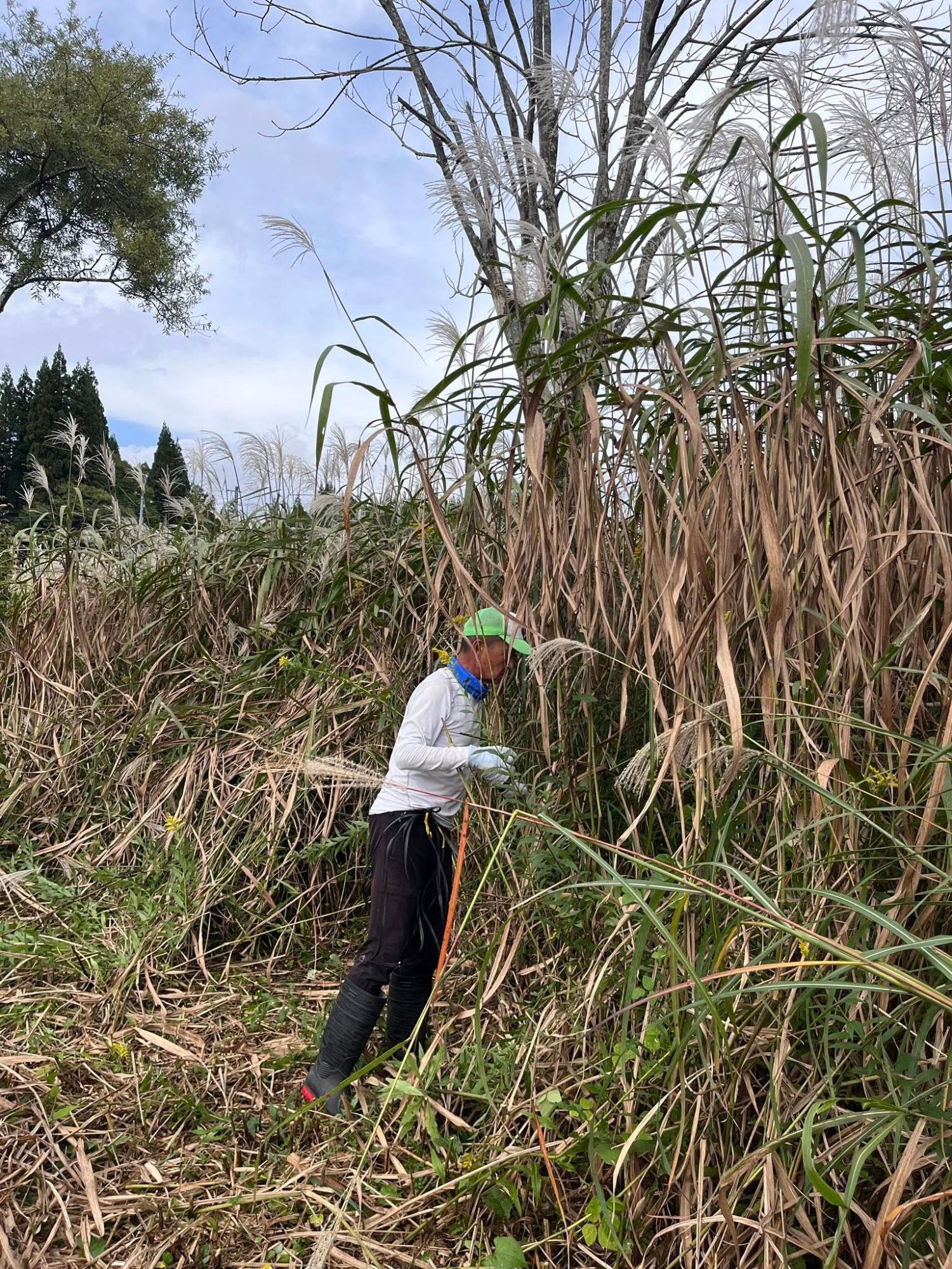 応援隊報告写真