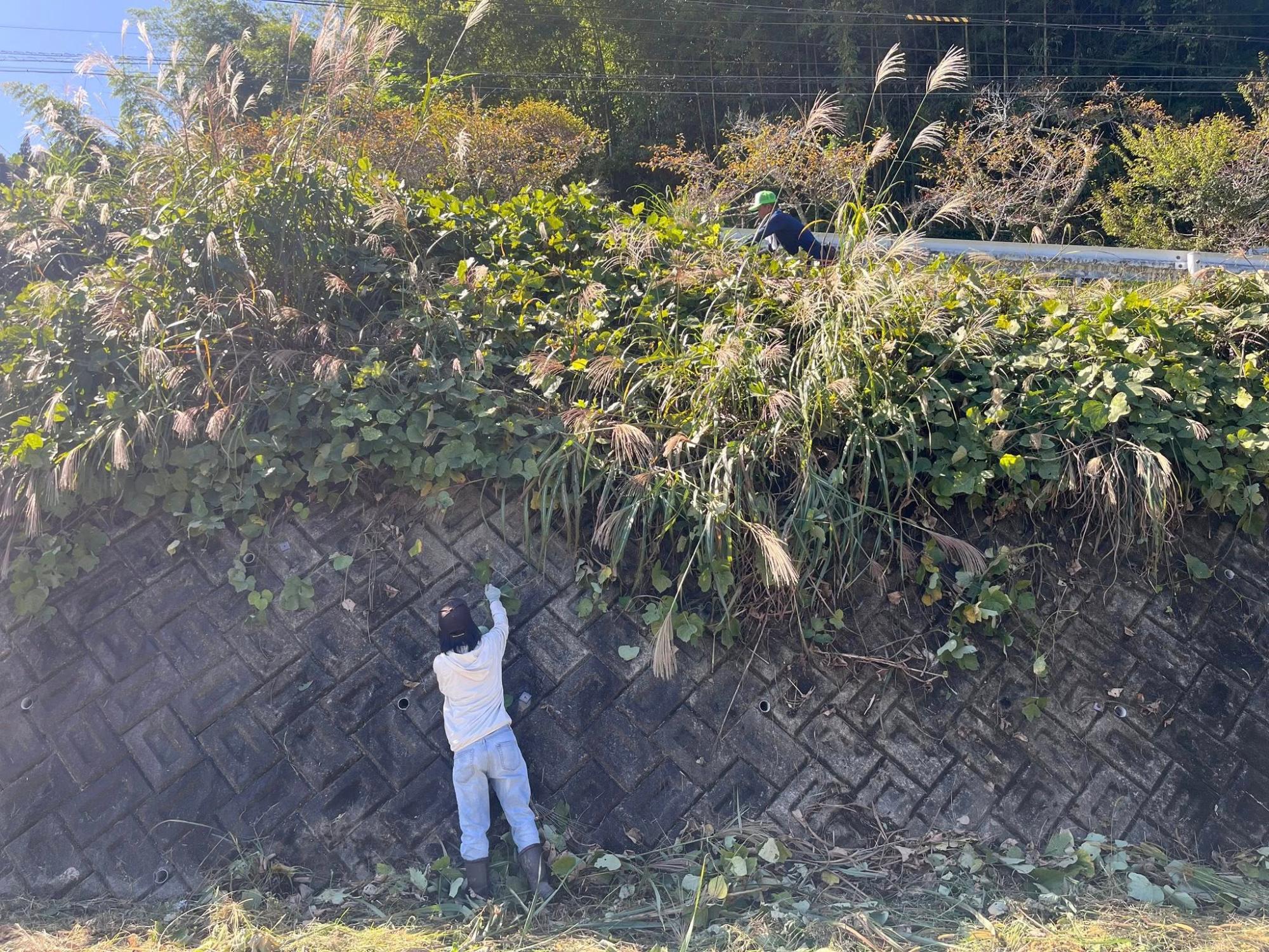 応援隊報告写真