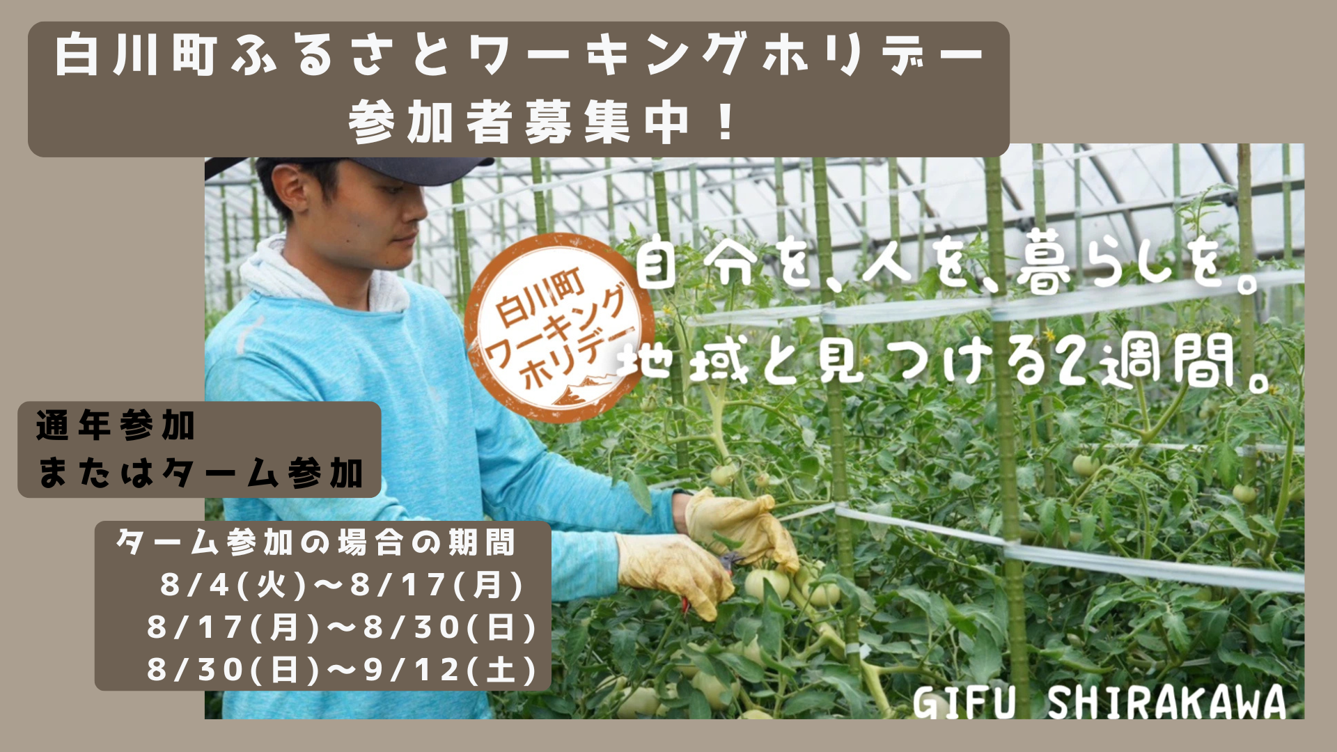 ワーホリ