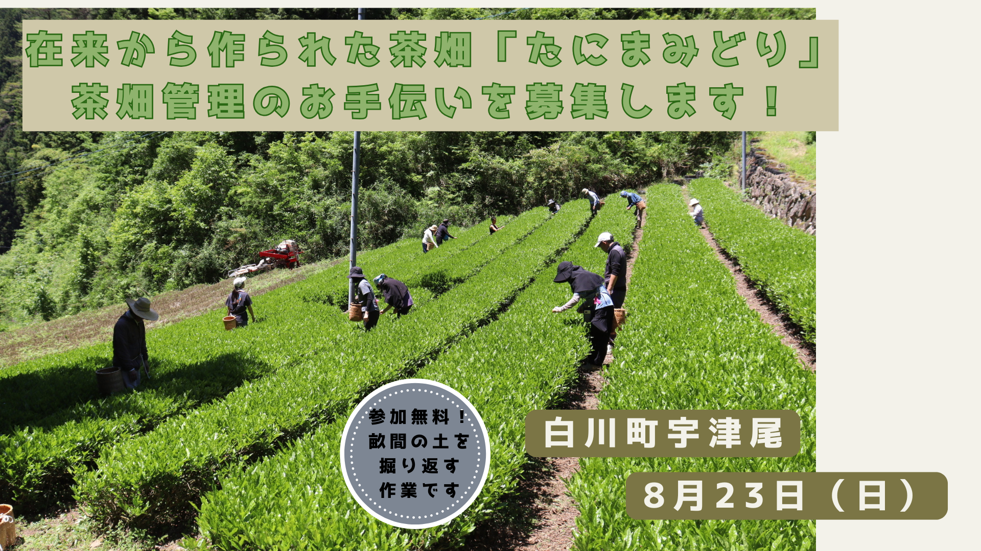 お茶