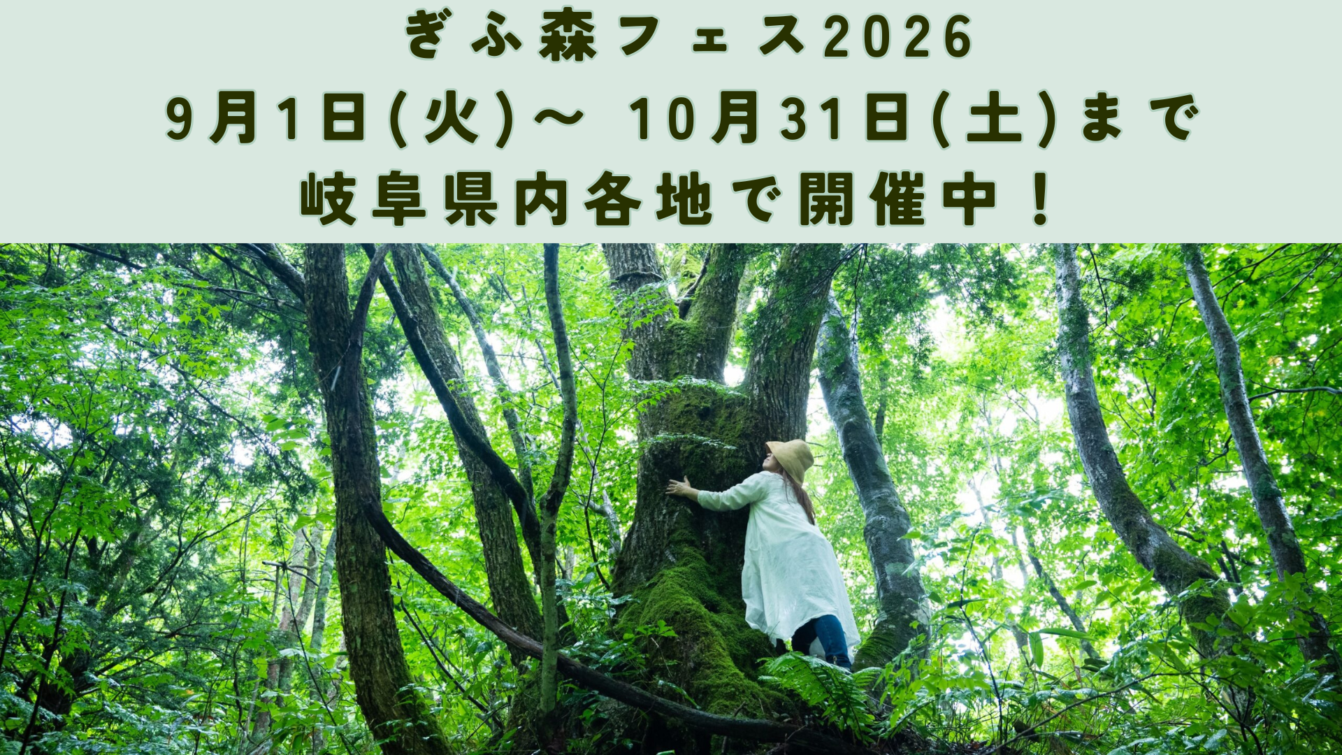 森フェス
