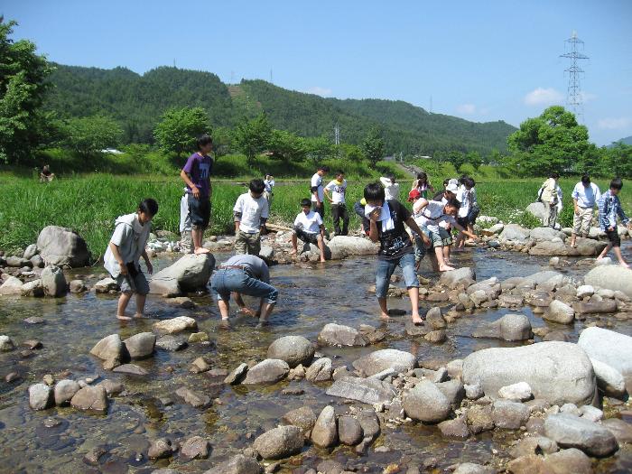 川で魚とりをする子どもたちの写真