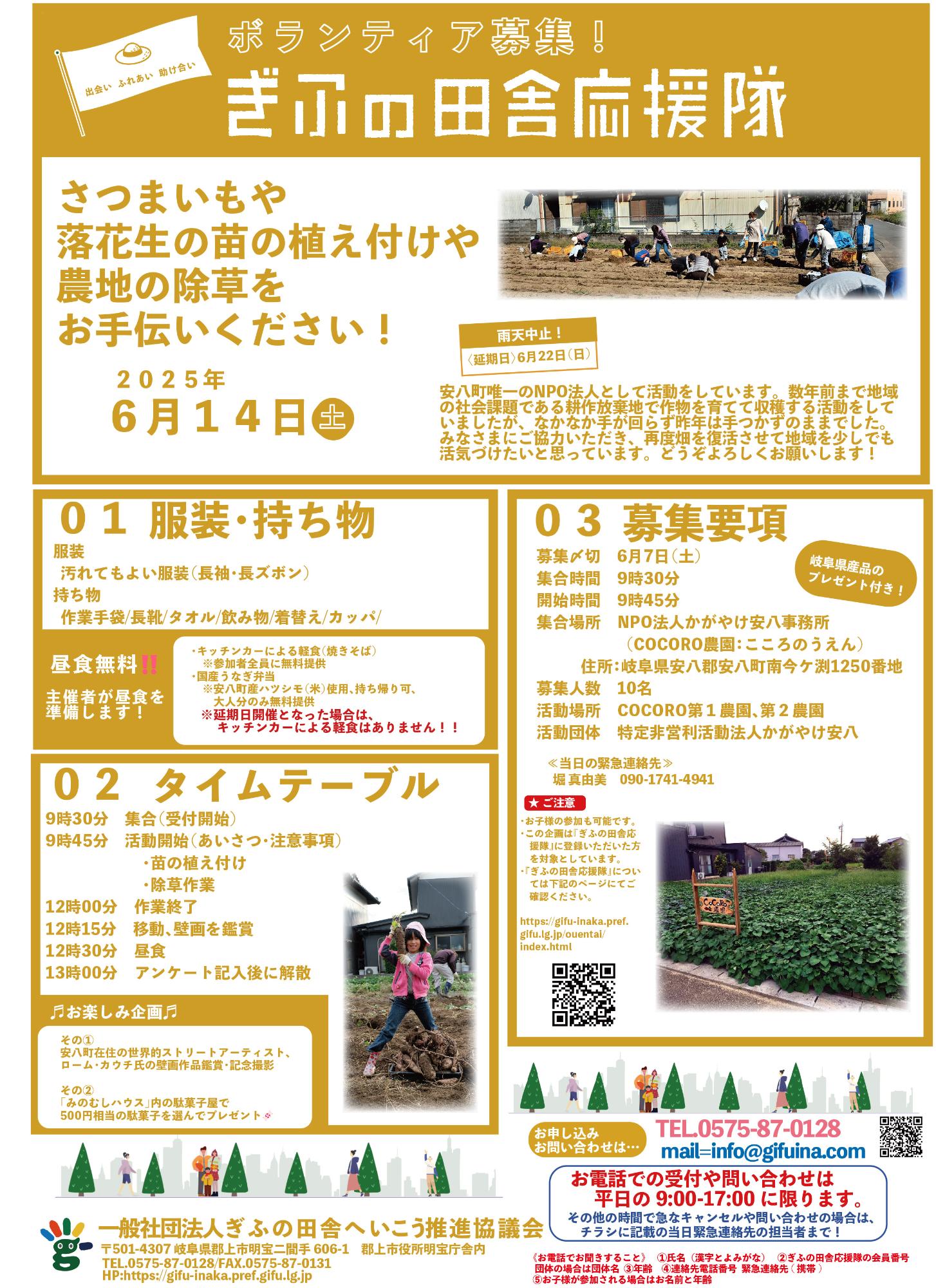 安八