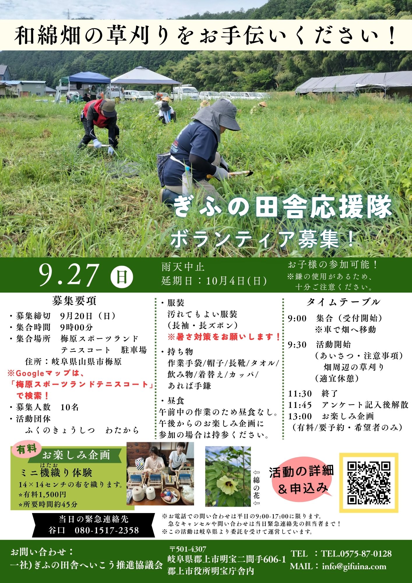 わたから