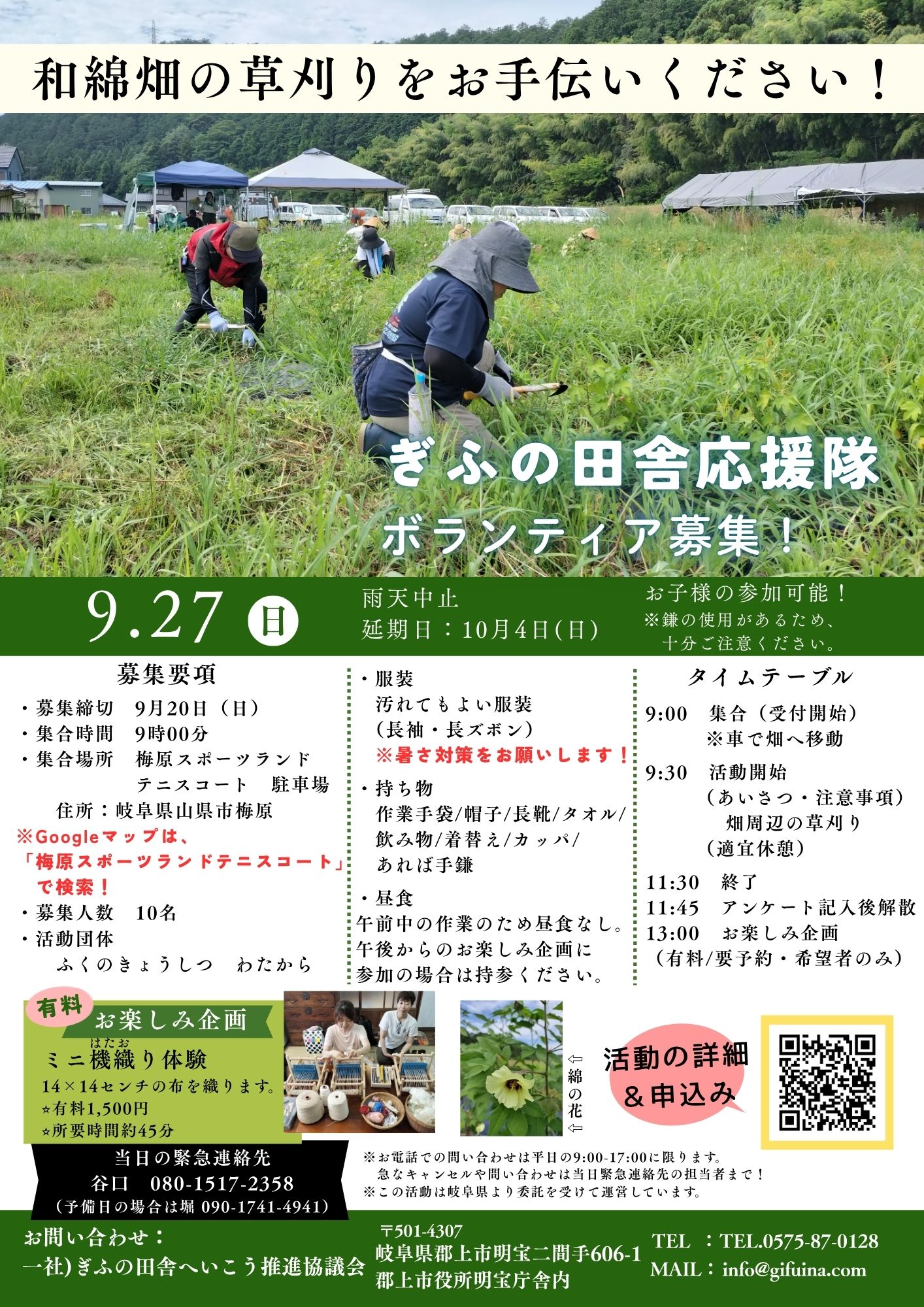わたから