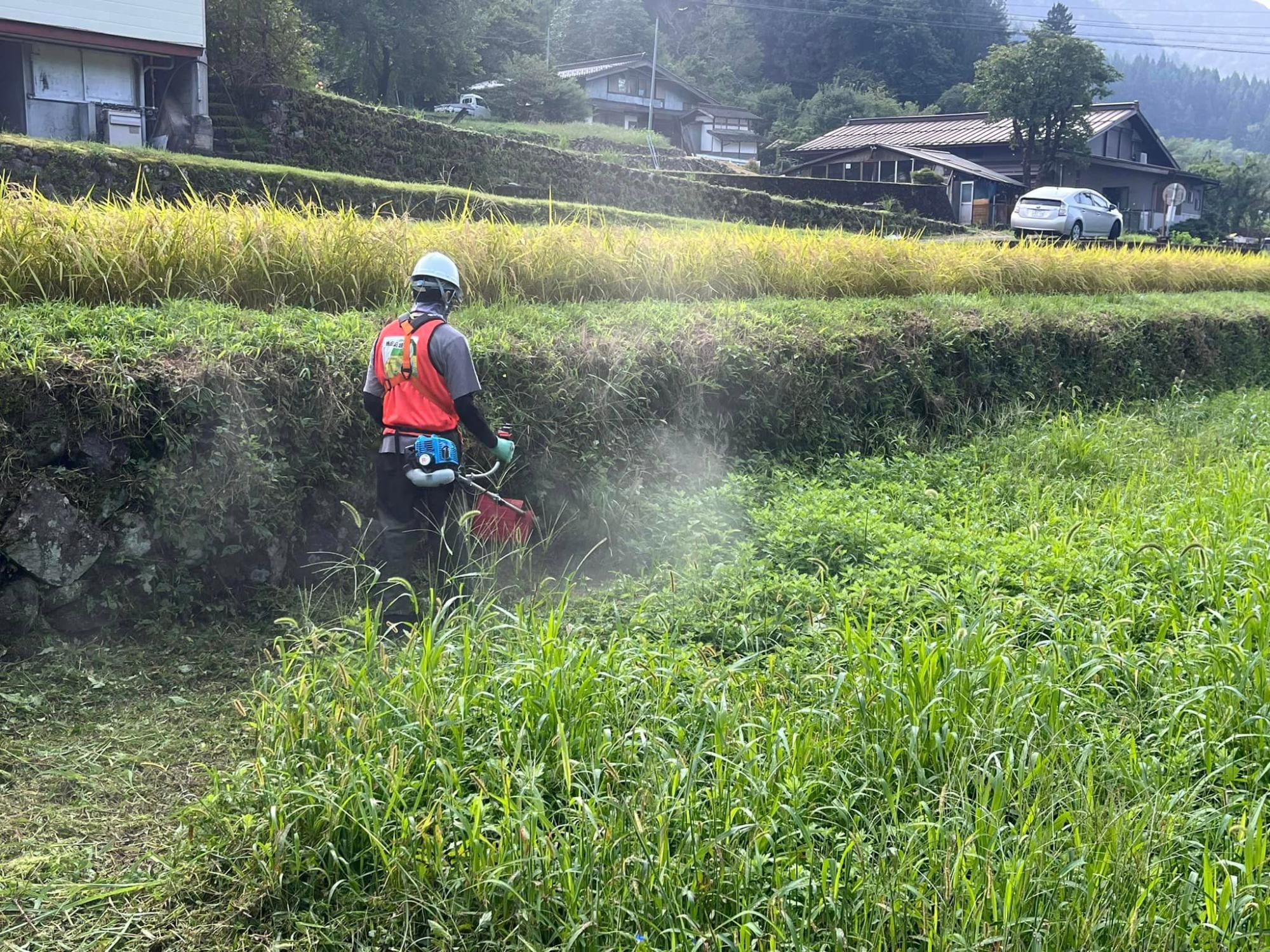 小保木草刈り