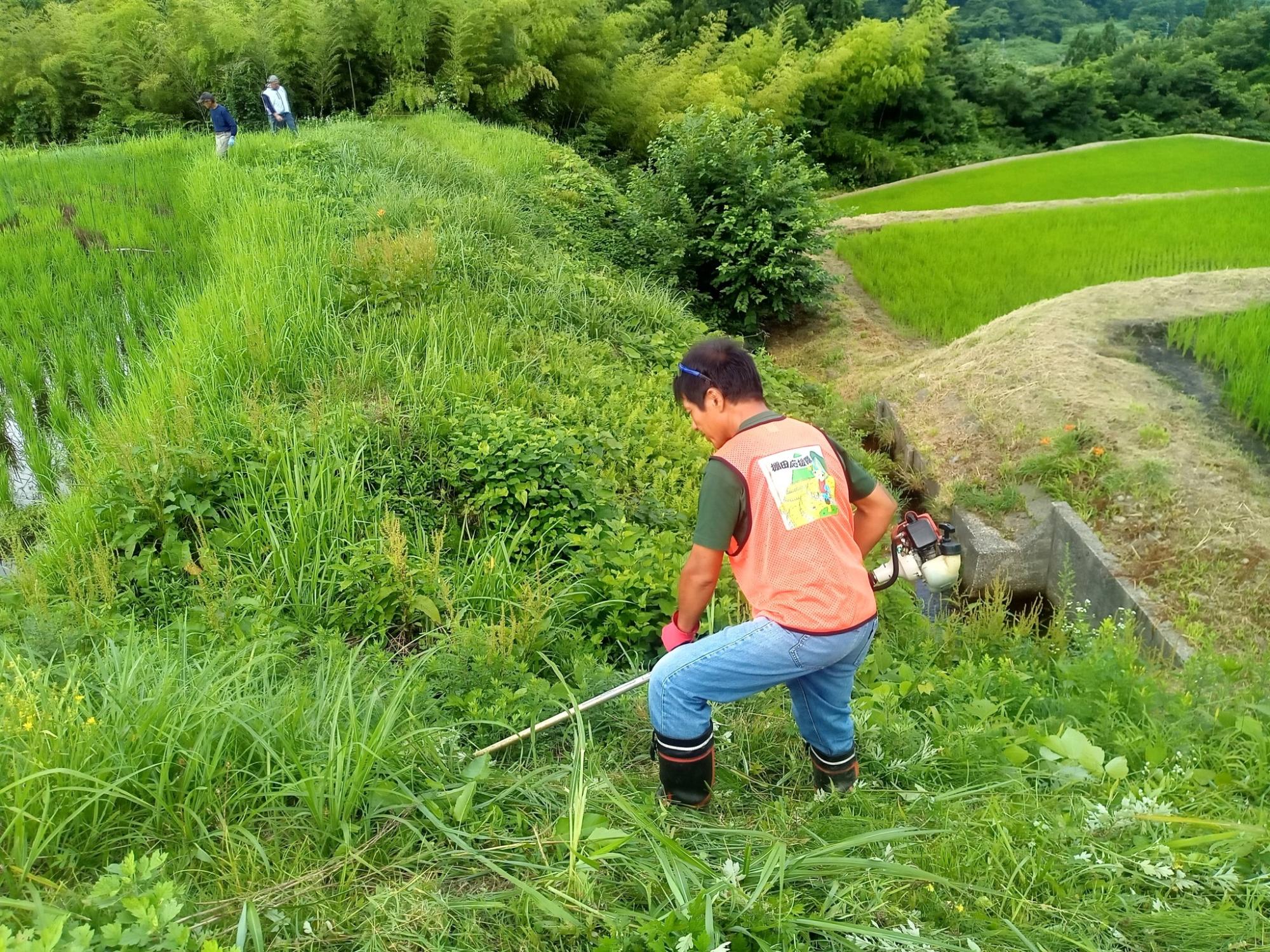 六ノ里棚田