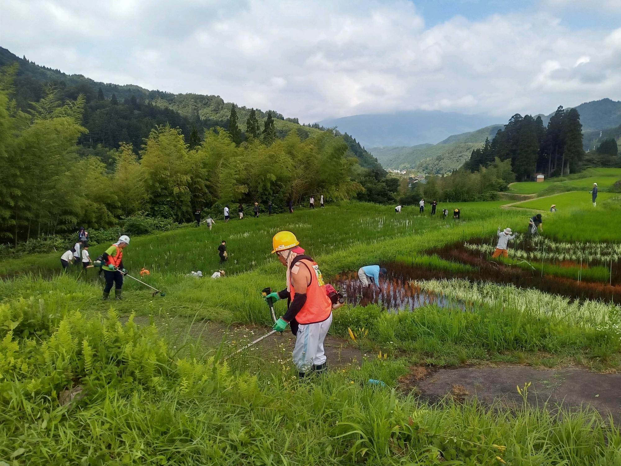 六ノ里棚田