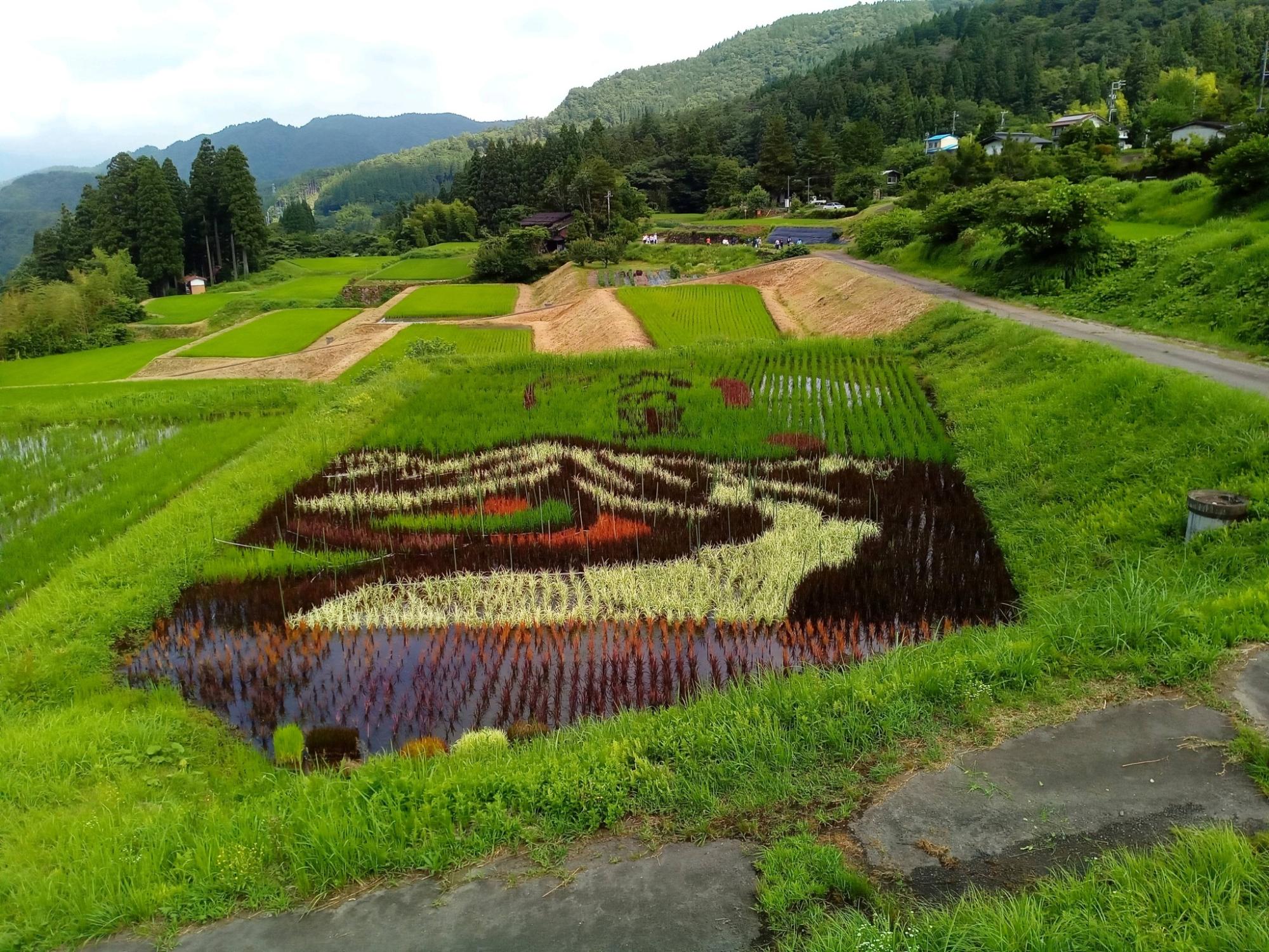 六ノ里棚田