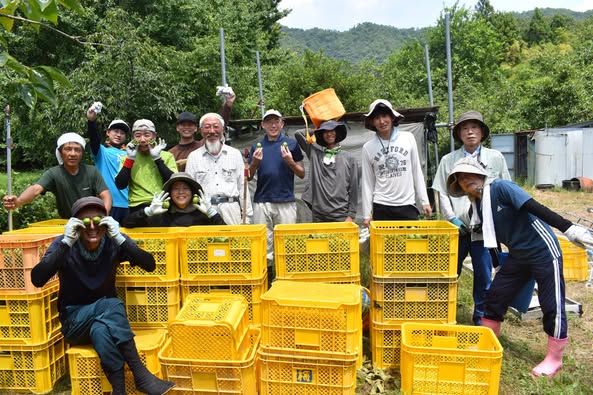 伊自良青柿収穫コンテナ前に集まる参加者