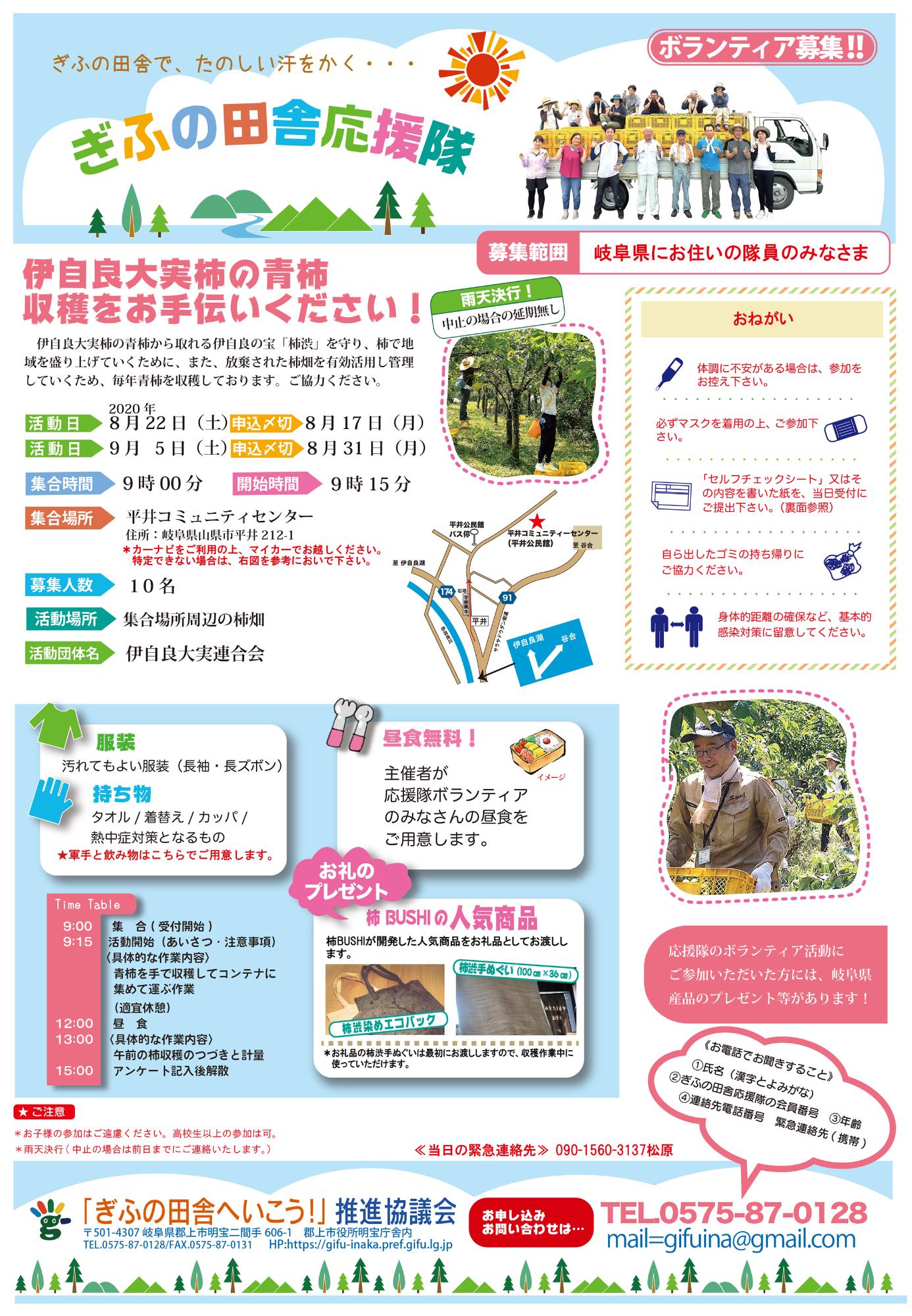 終了しました 8月22日と9月5日 伊自良大実柿の青柿収穫をお手伝いください 岐阜県グリーン ツーリズムサイト
