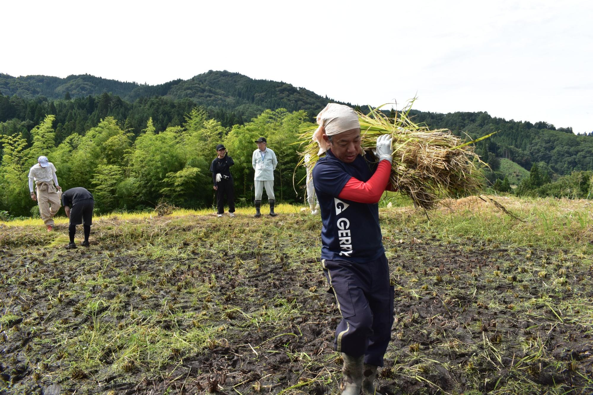 ぎふの田舎応援隊写真