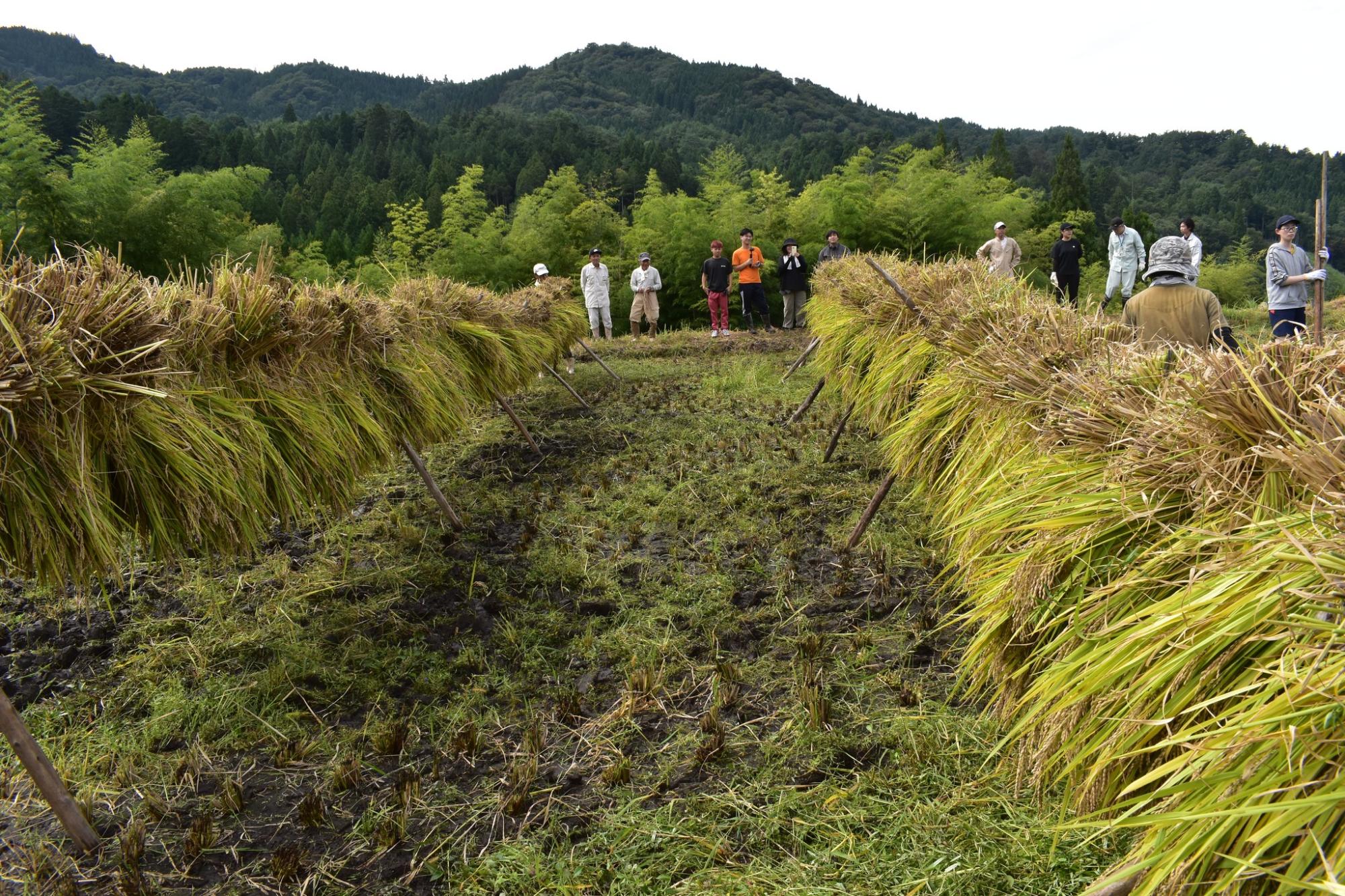 ぎふの田舎応援隊写真