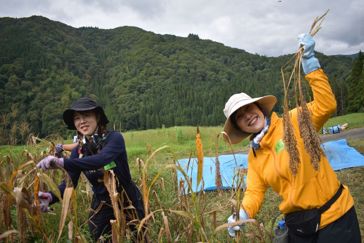 岐阜の田舎応援隊の写真