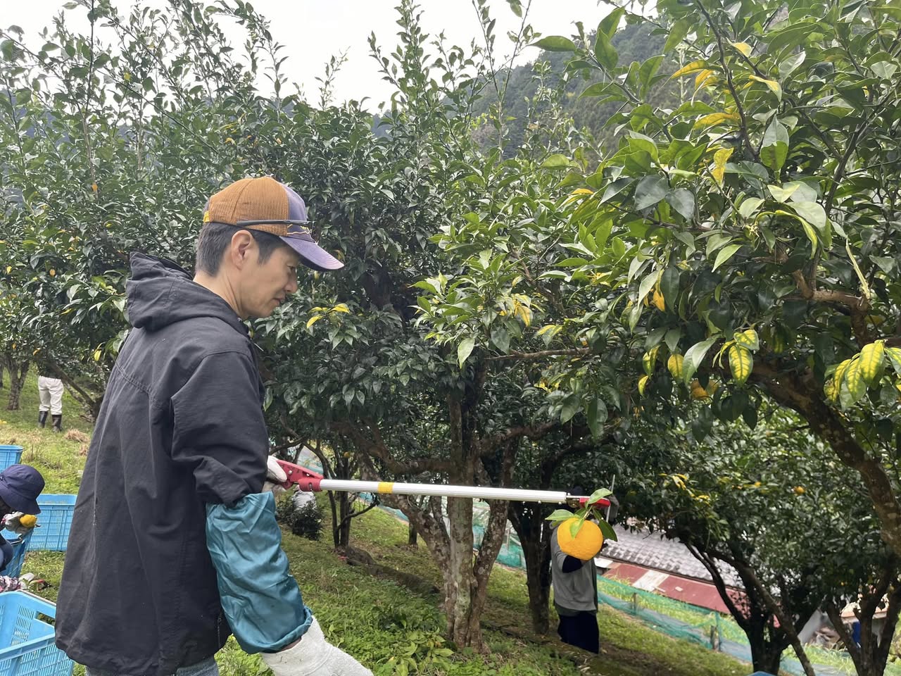 ぎふの田舎応援隊写真