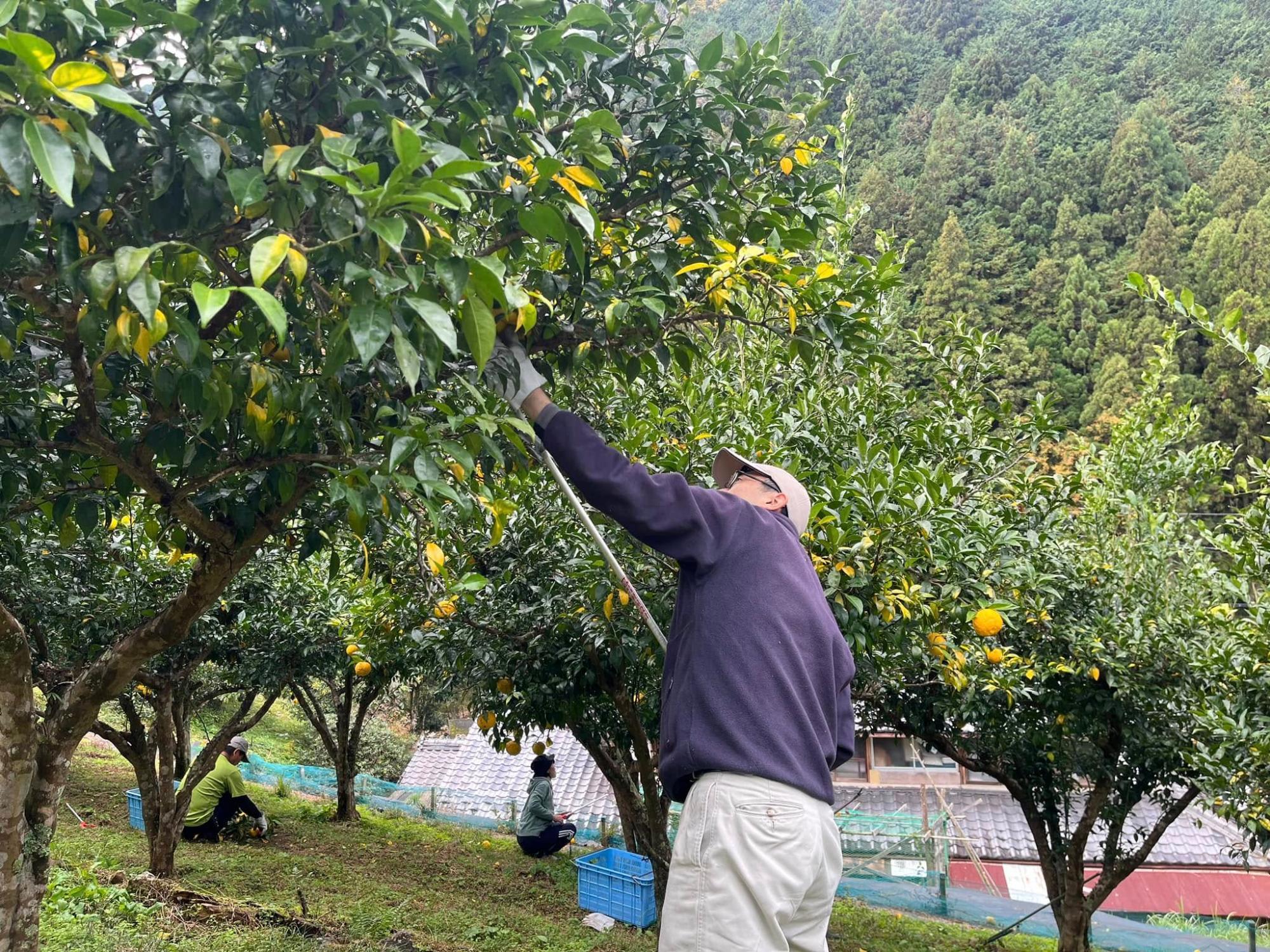 ぎふの田舎応援隊写真