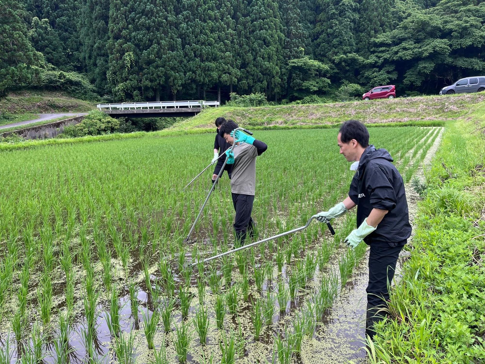 西洞