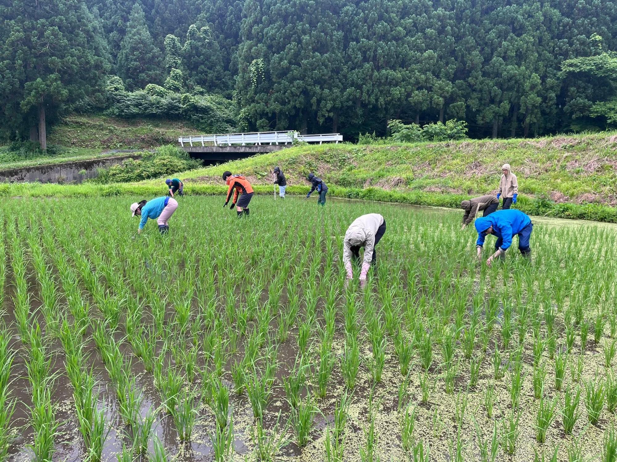 西洞