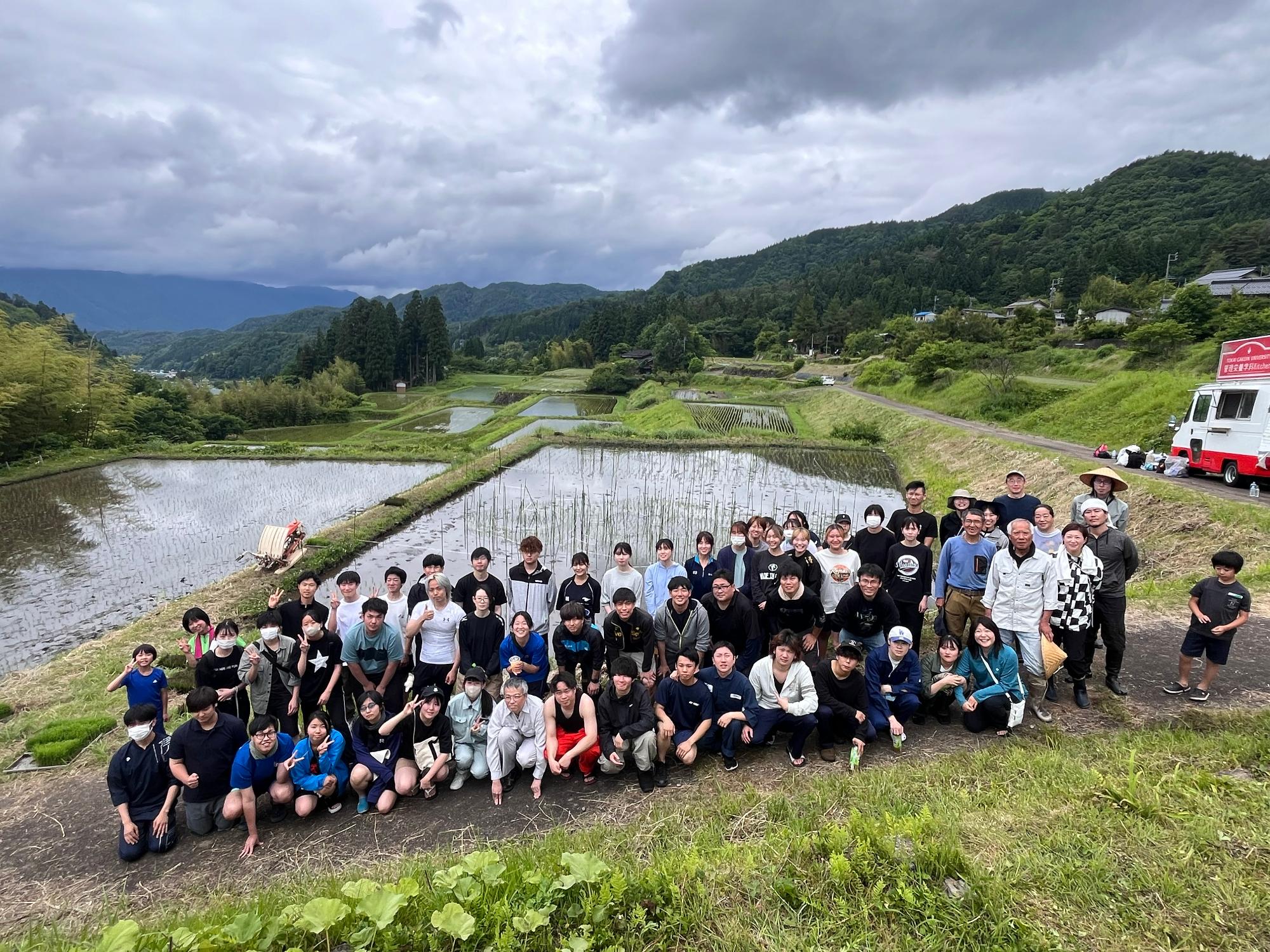 田植え