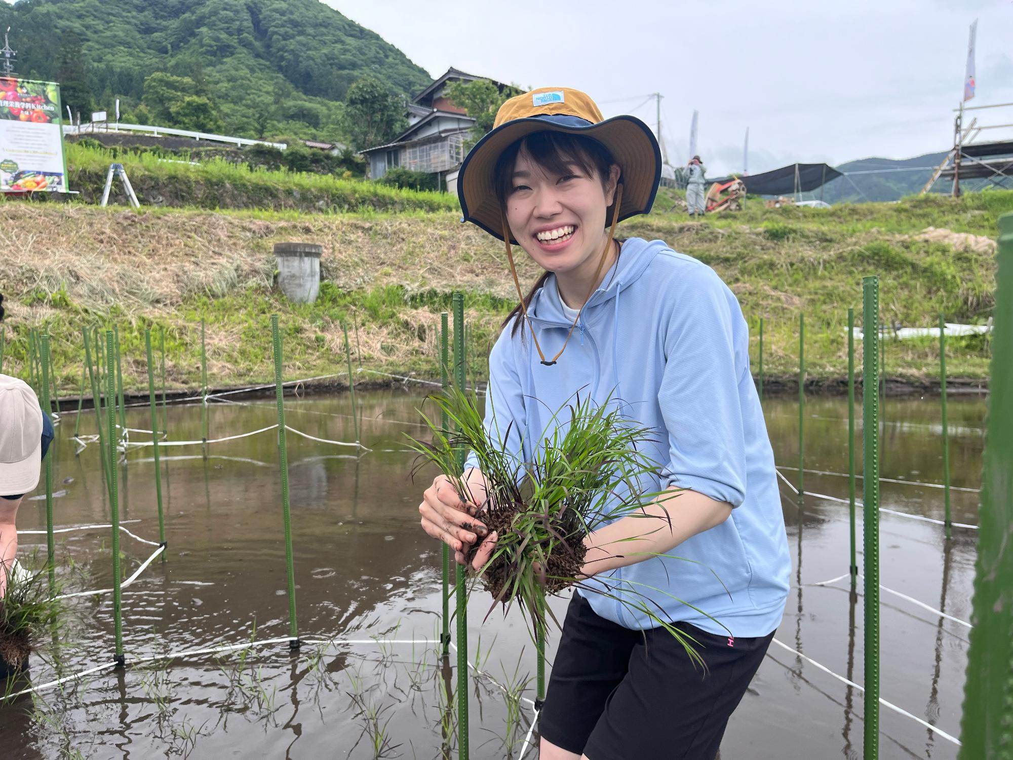 田植え