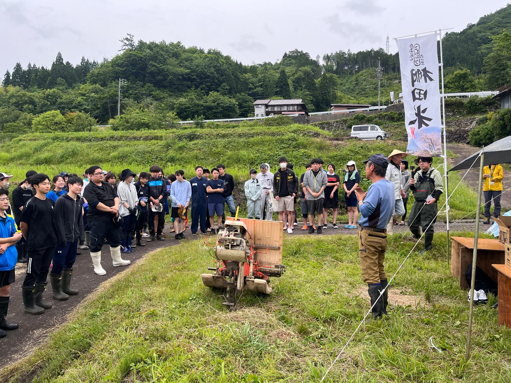 田植え