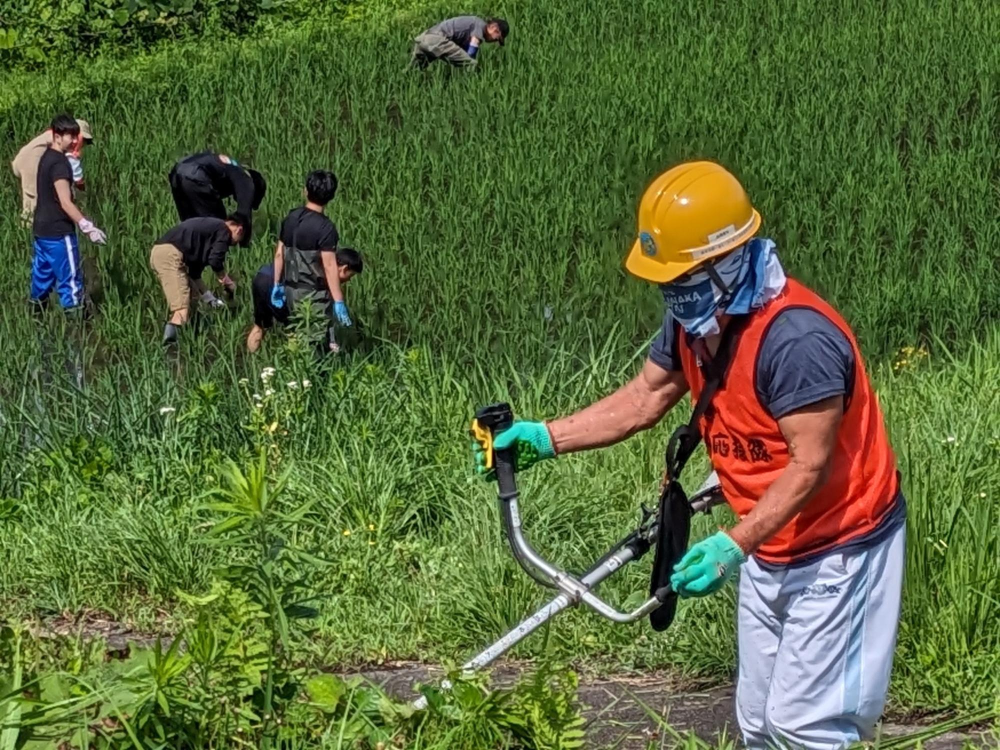 六ノ里除草・草刈り