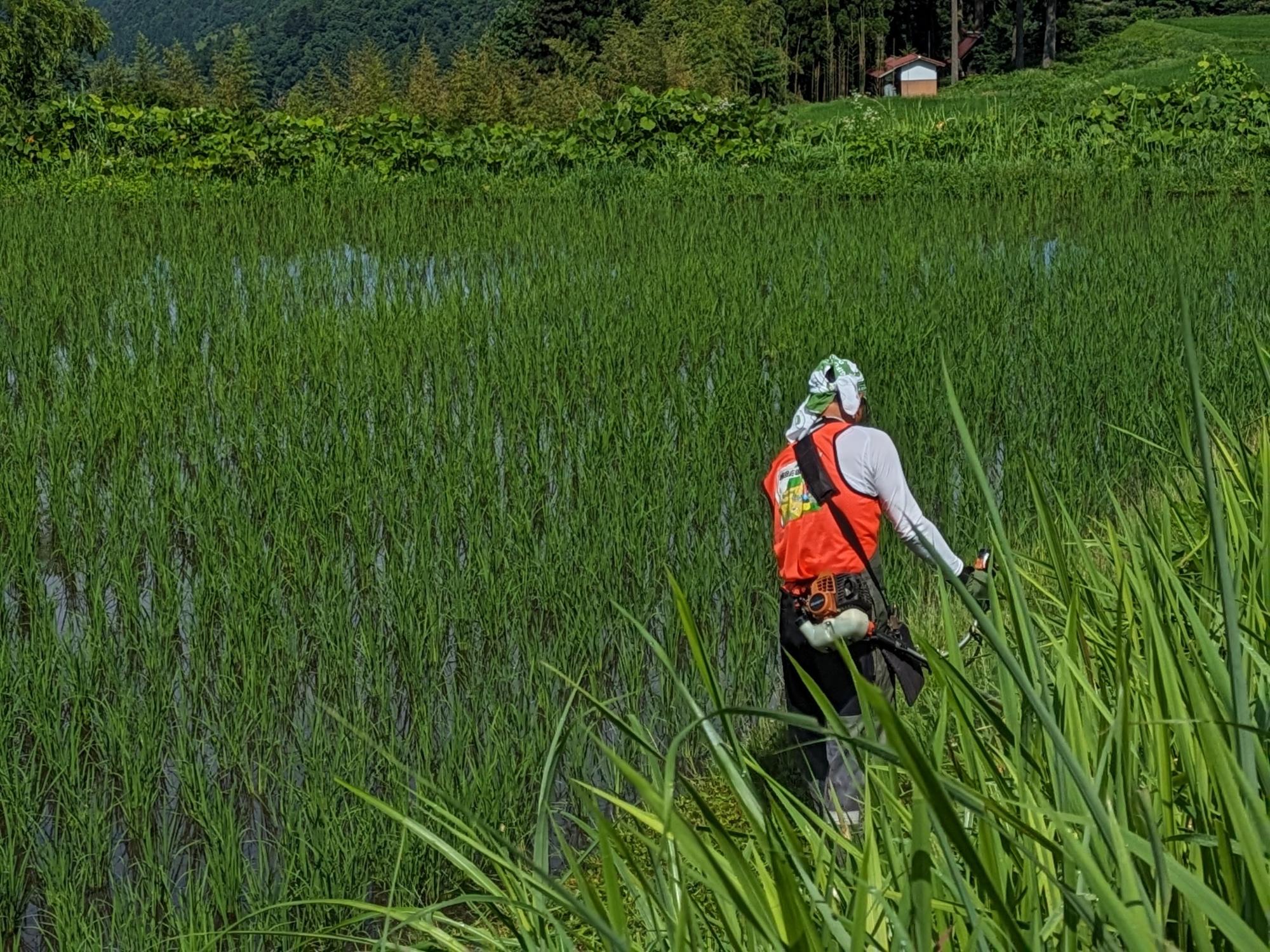 六ノ里除草・草刈り