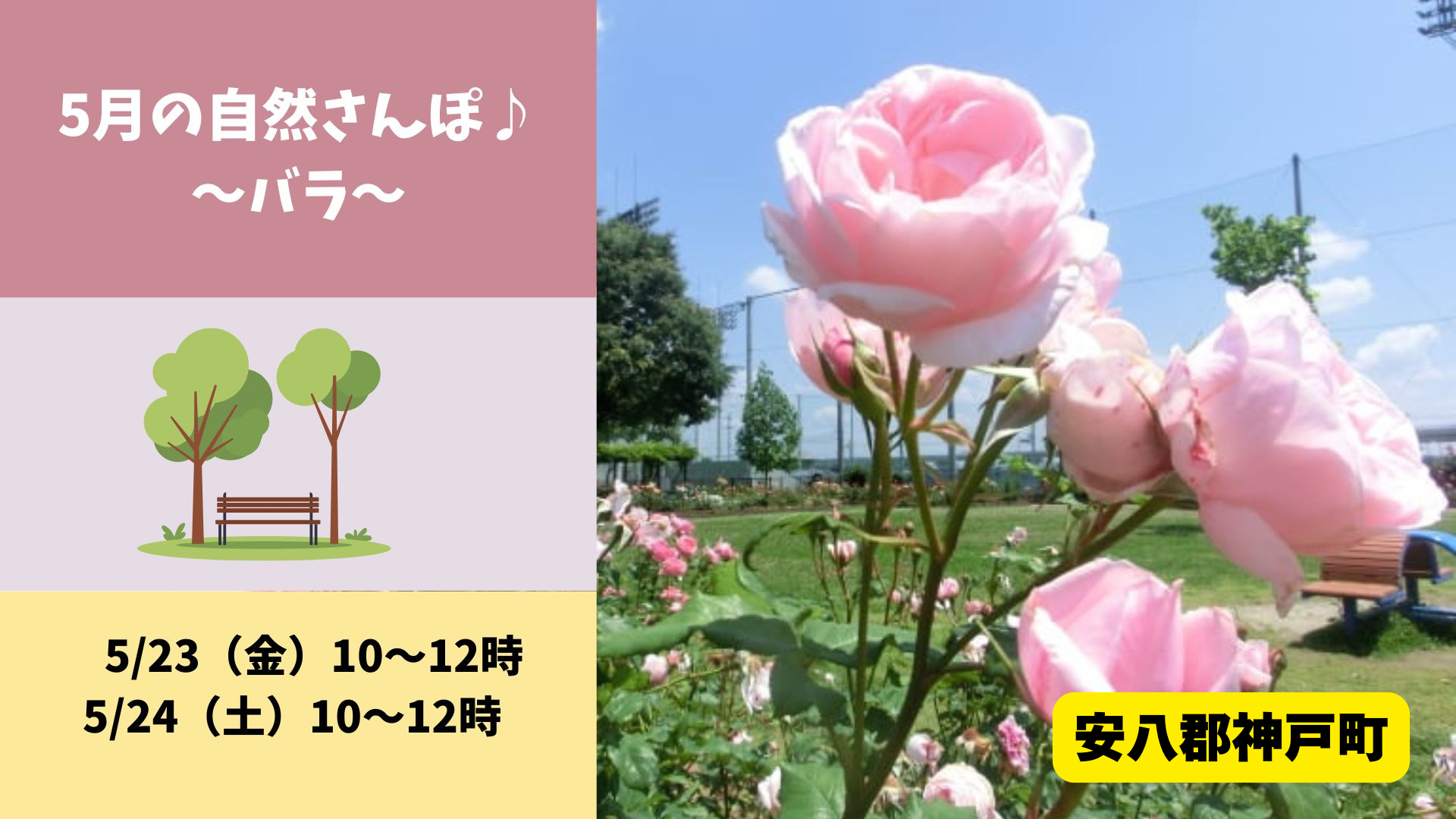 自然さんぽ