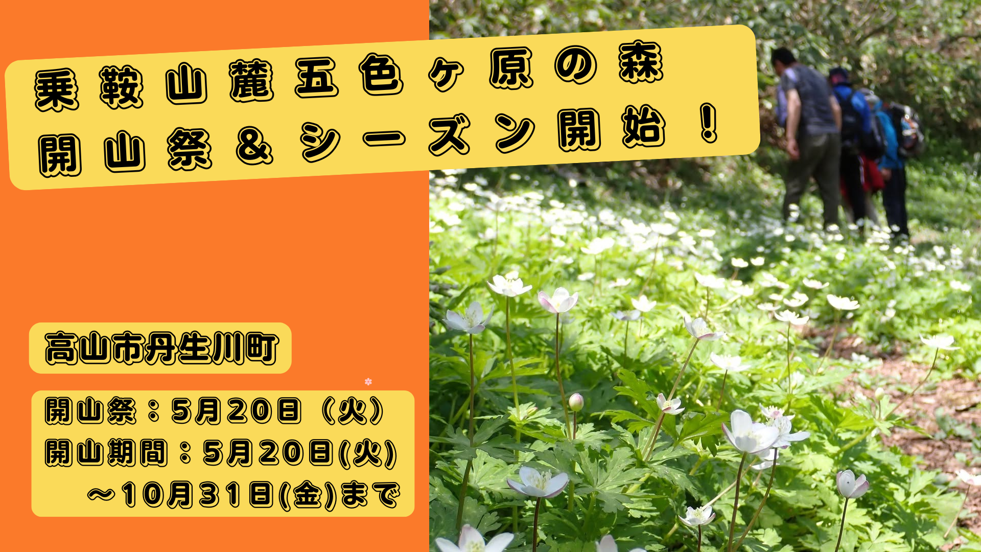 五色ヶ原