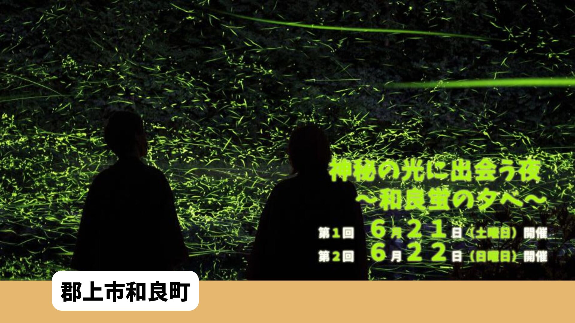 和良蛍