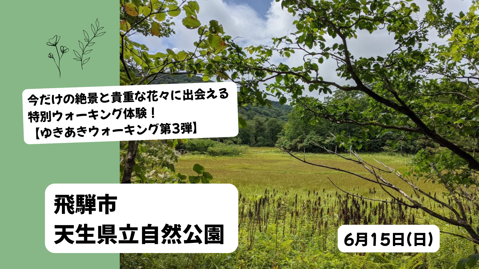 ゆきあきウォーキング