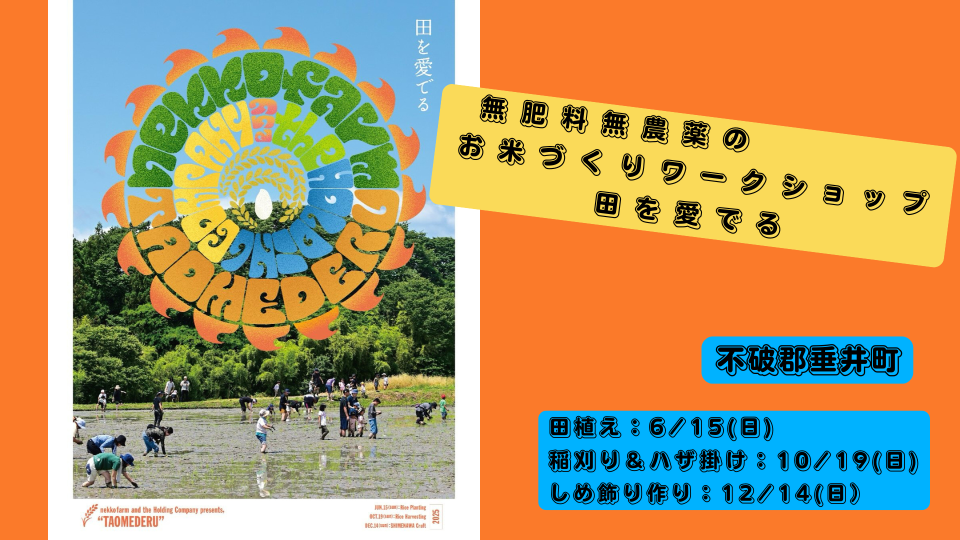 お米作り