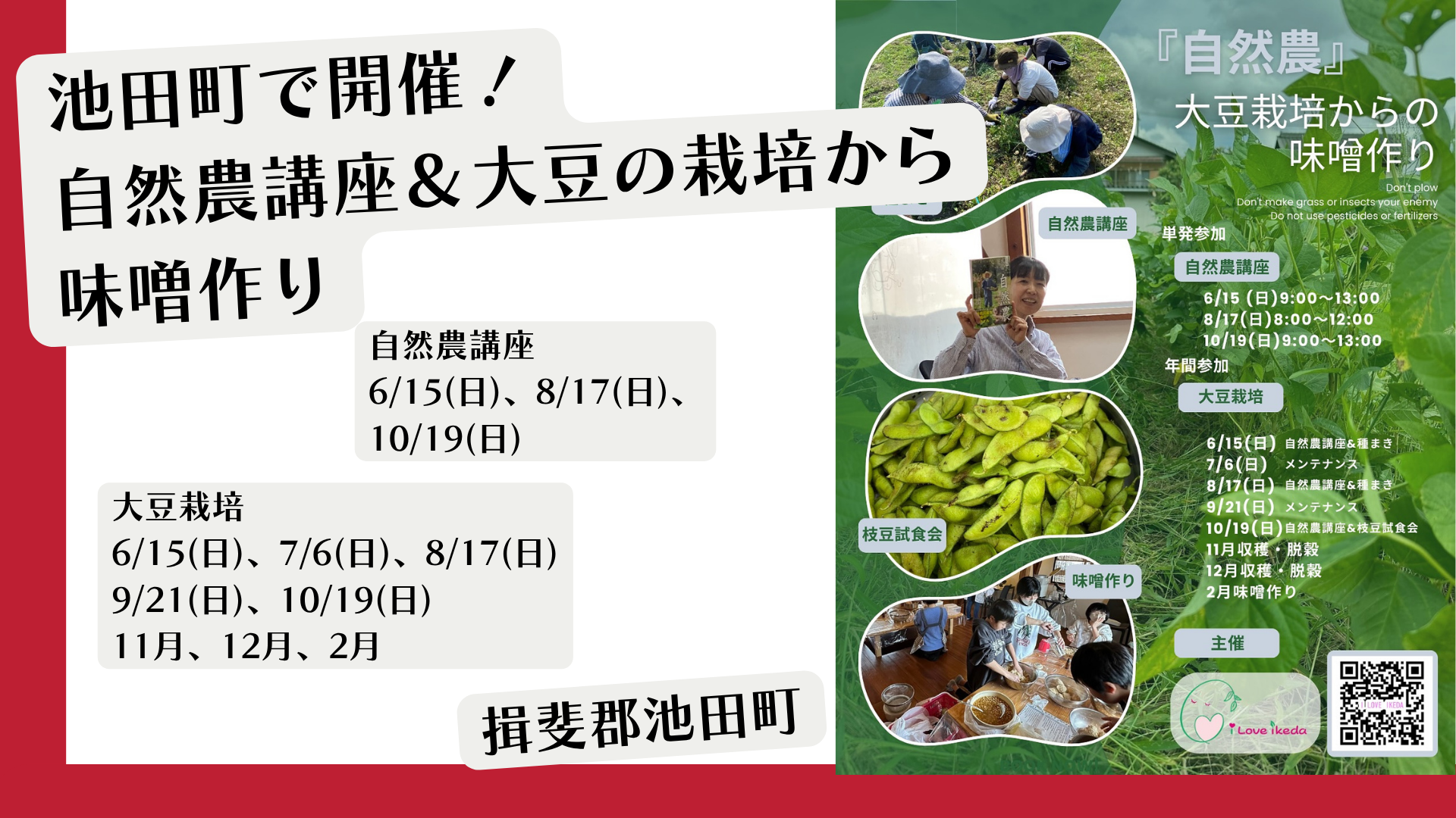 大豆