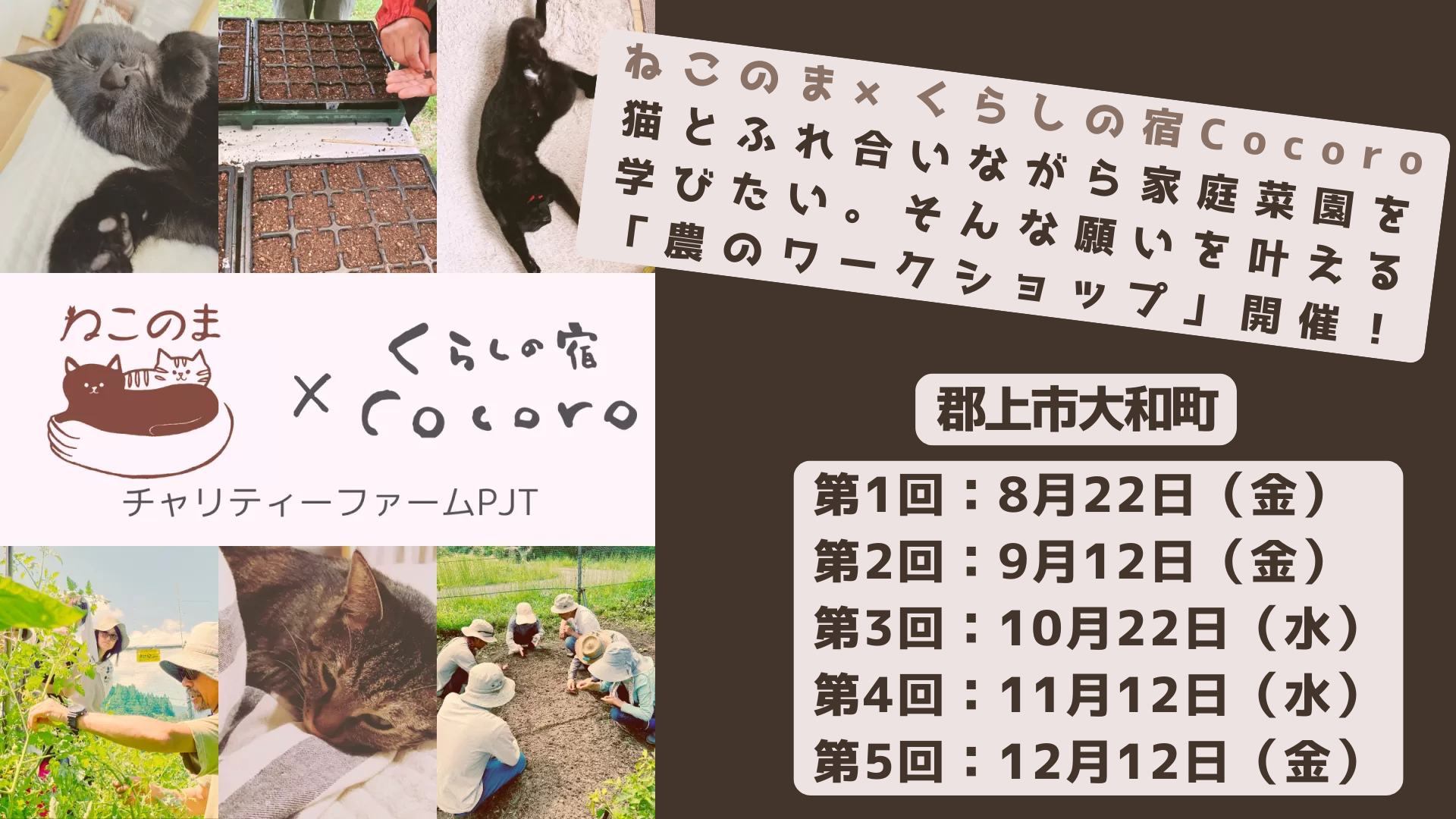 ねこのま
