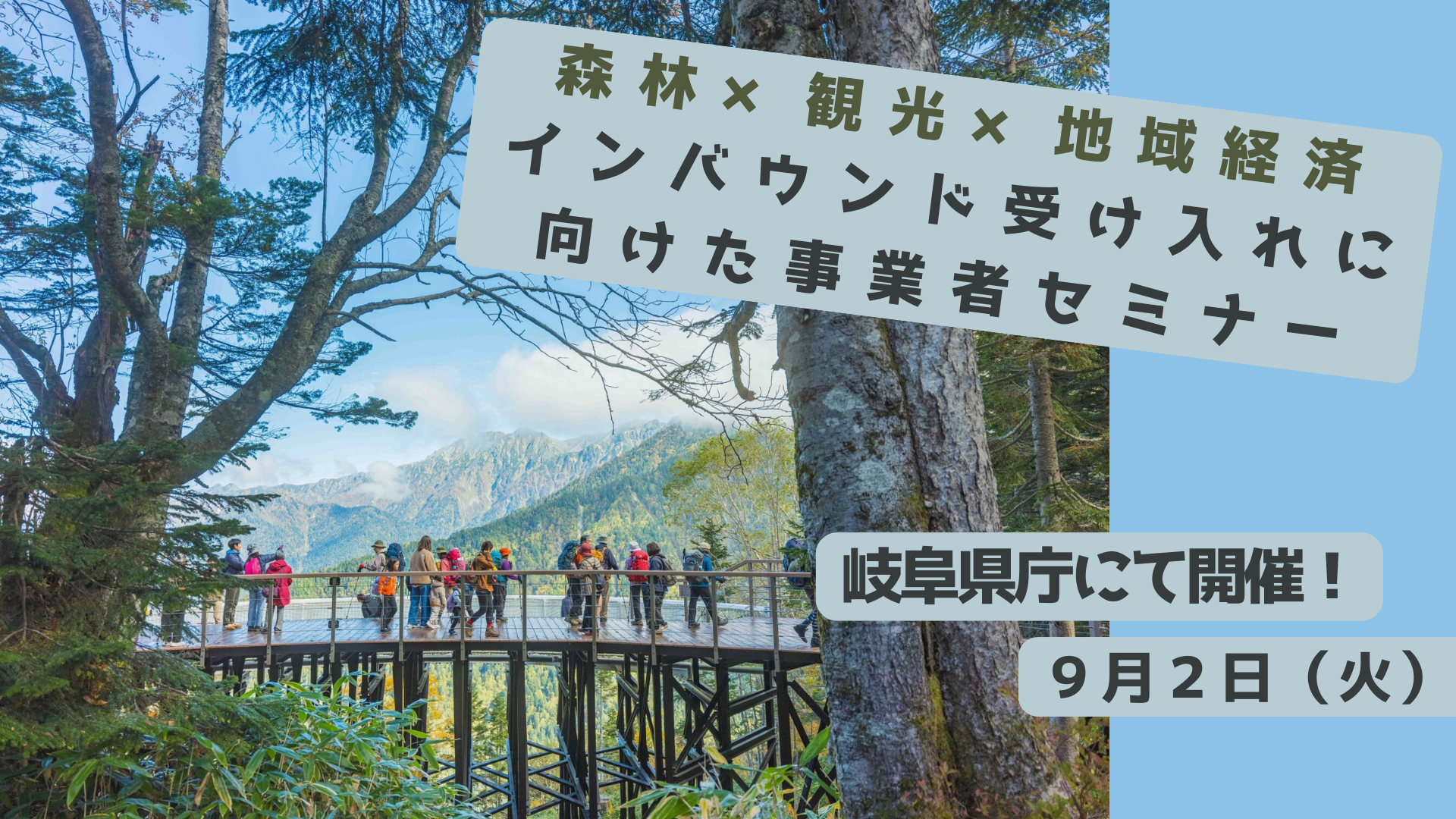 森林