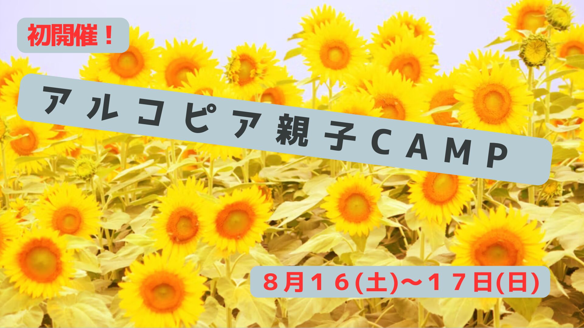 キャンプ