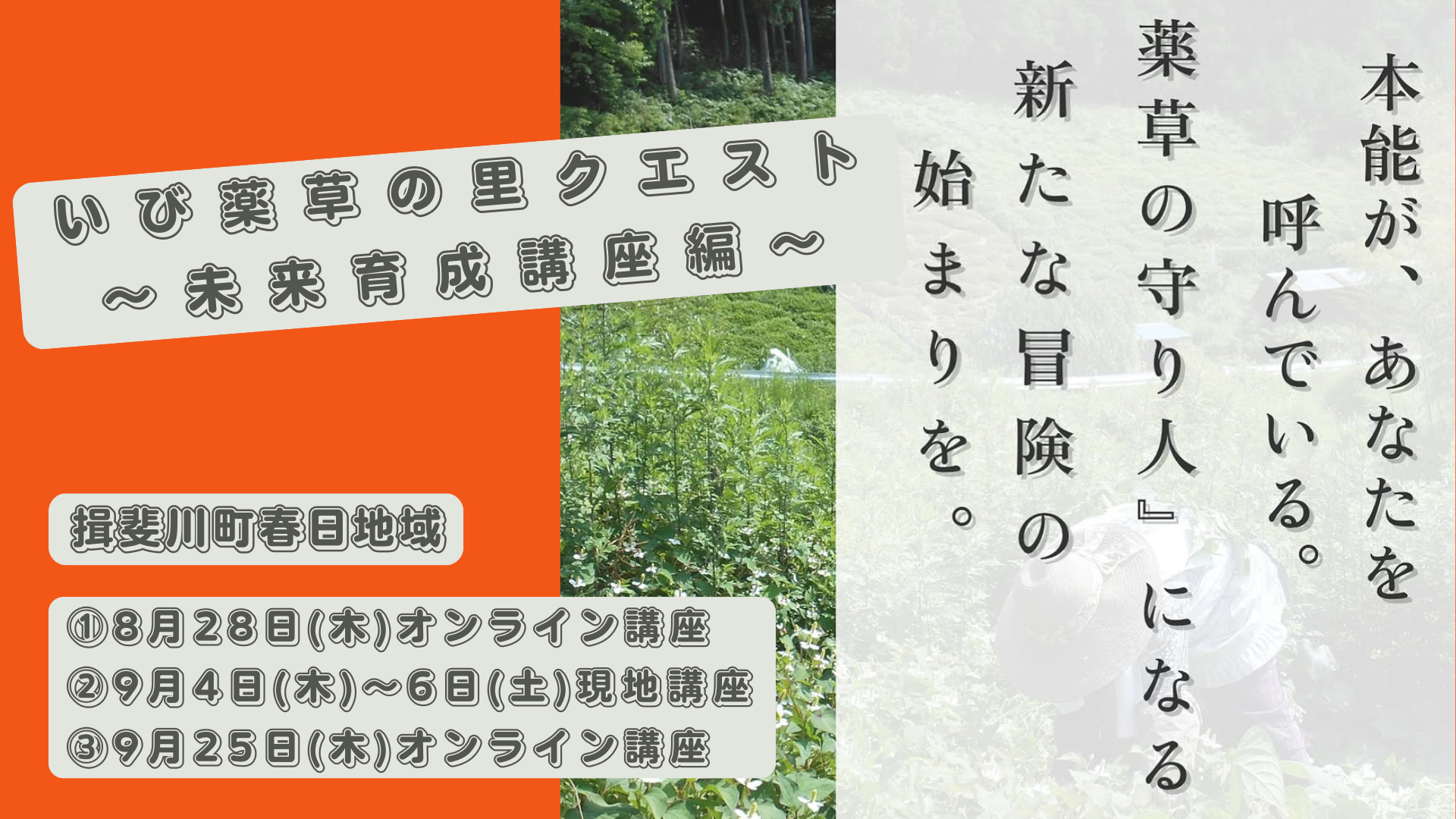 薬草