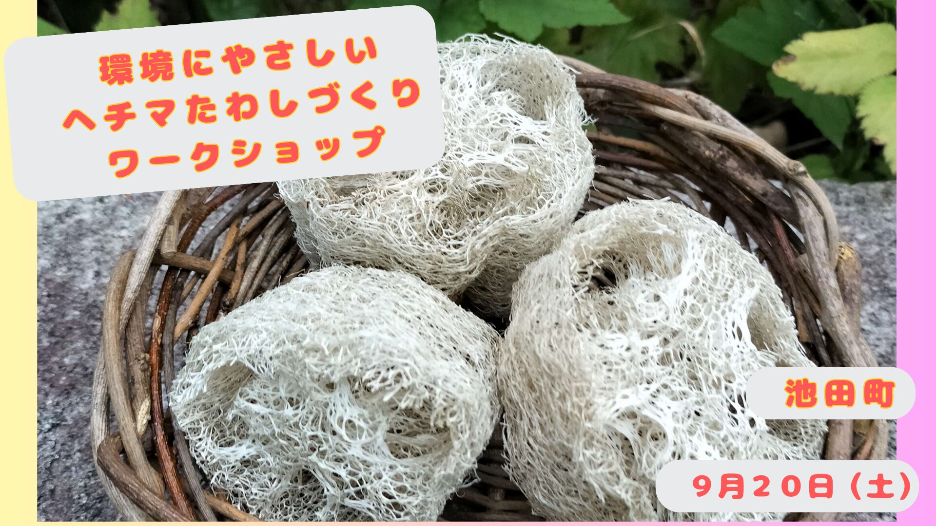 へちまたわし