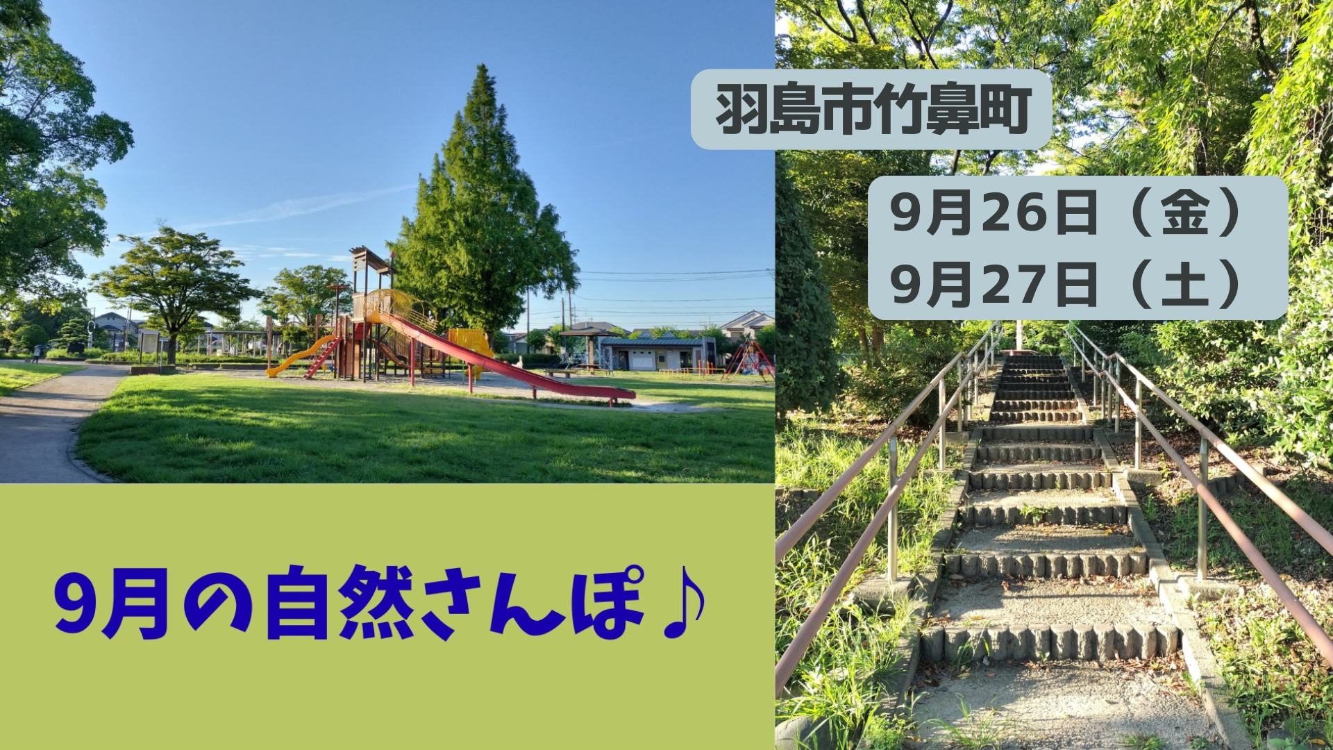 自然さんぽ