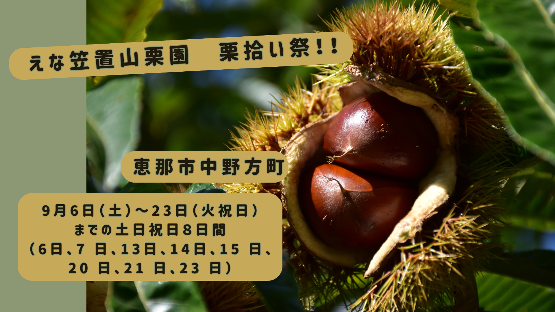 栗拾い