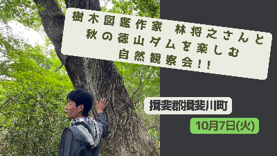 林先生