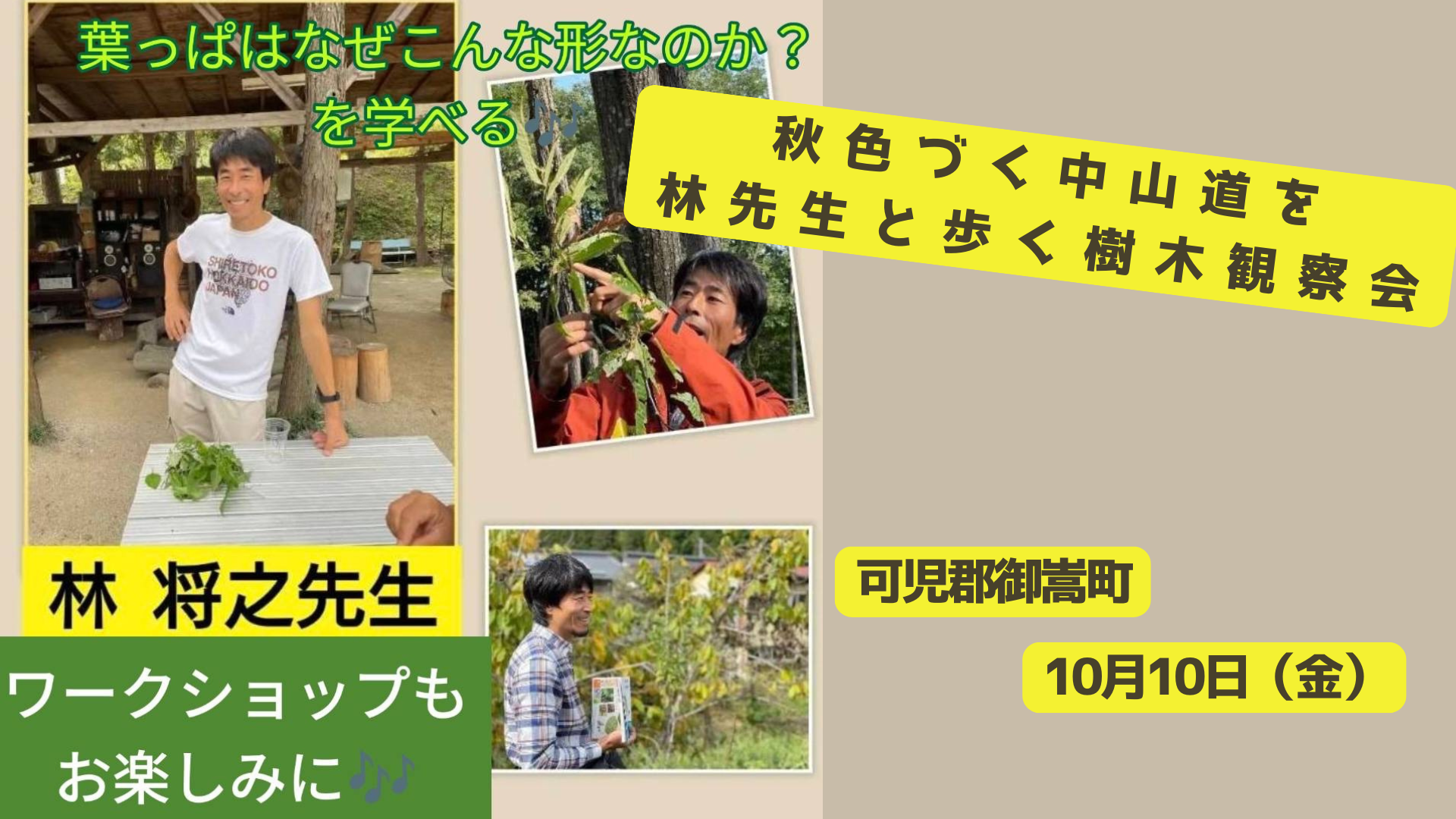 林先生