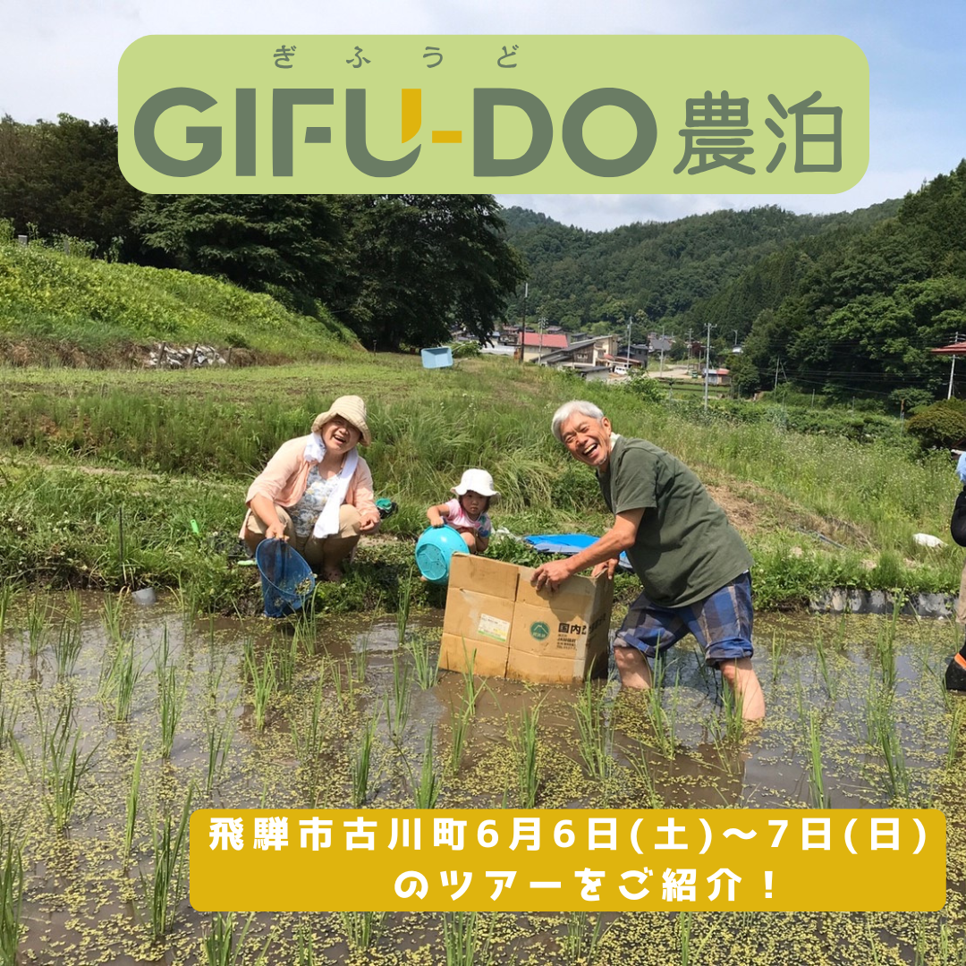 飛騨