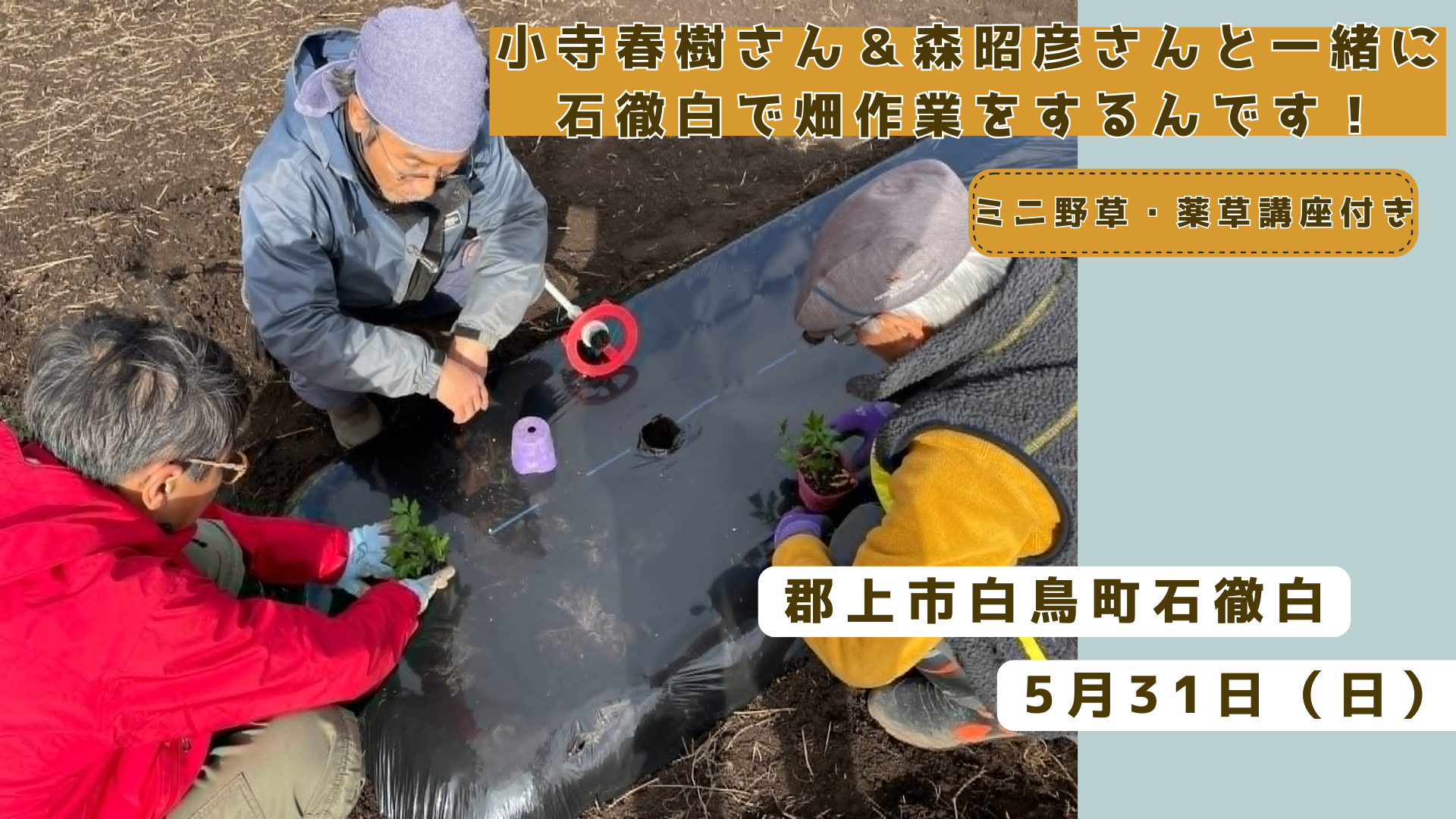 畑作業