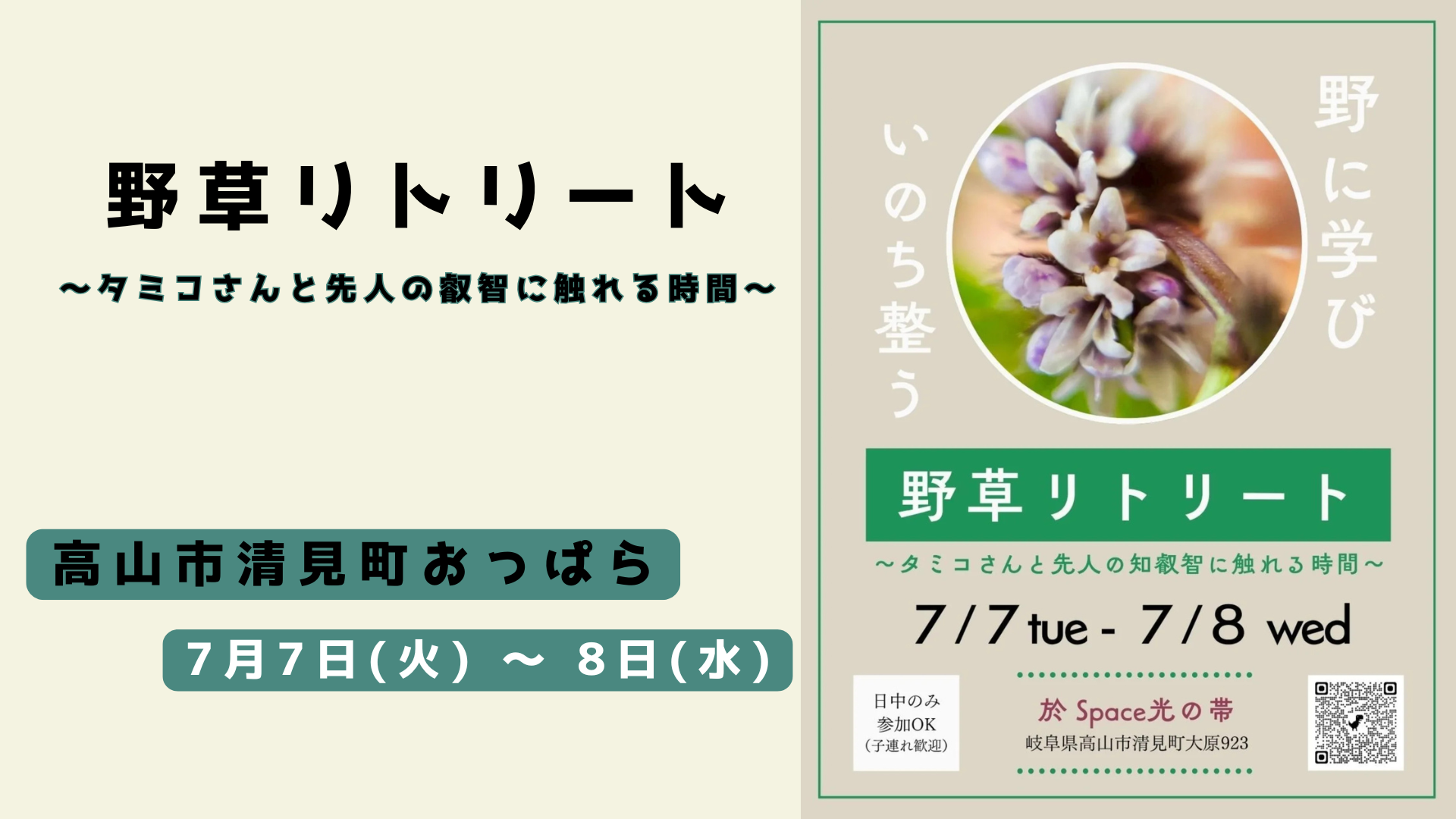 野草