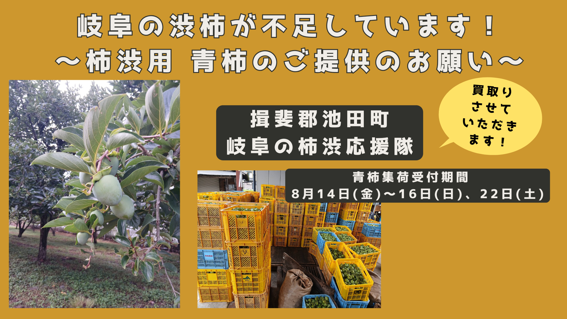 柿渋