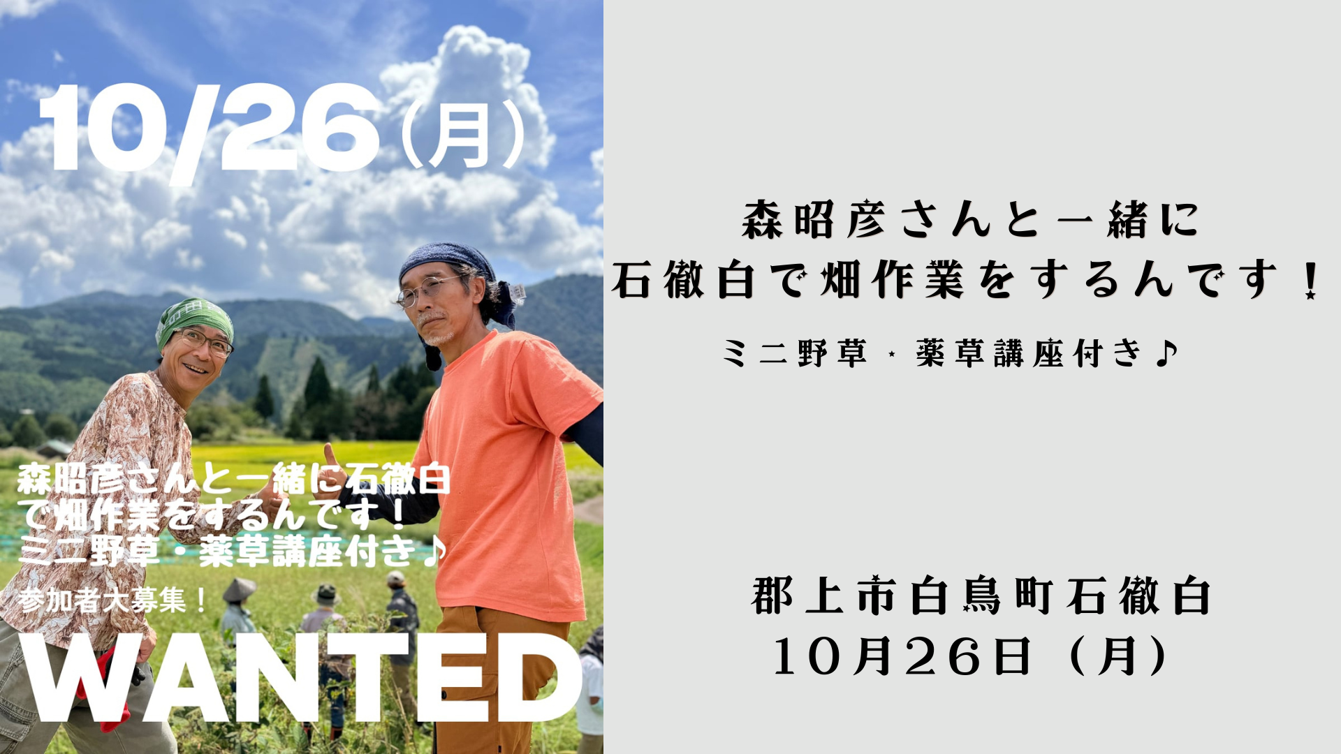 石徹白