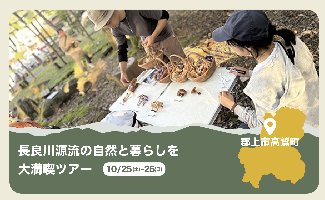 高鷲
