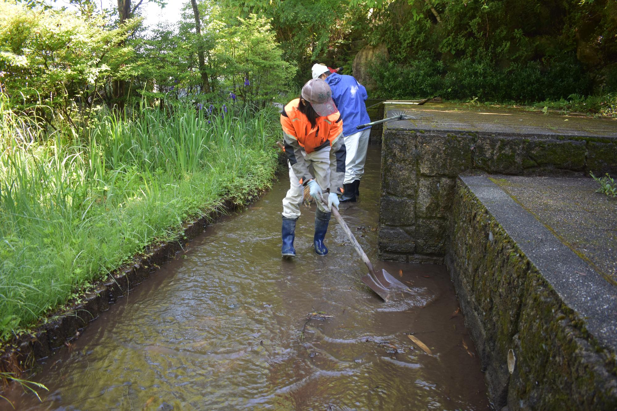 水路の清掃